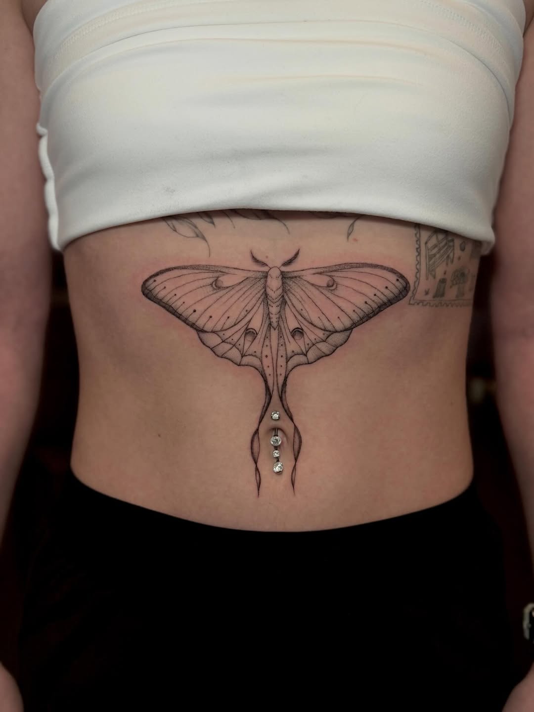 Luna moth fine line tattoo on the ribs by Ana Blatt