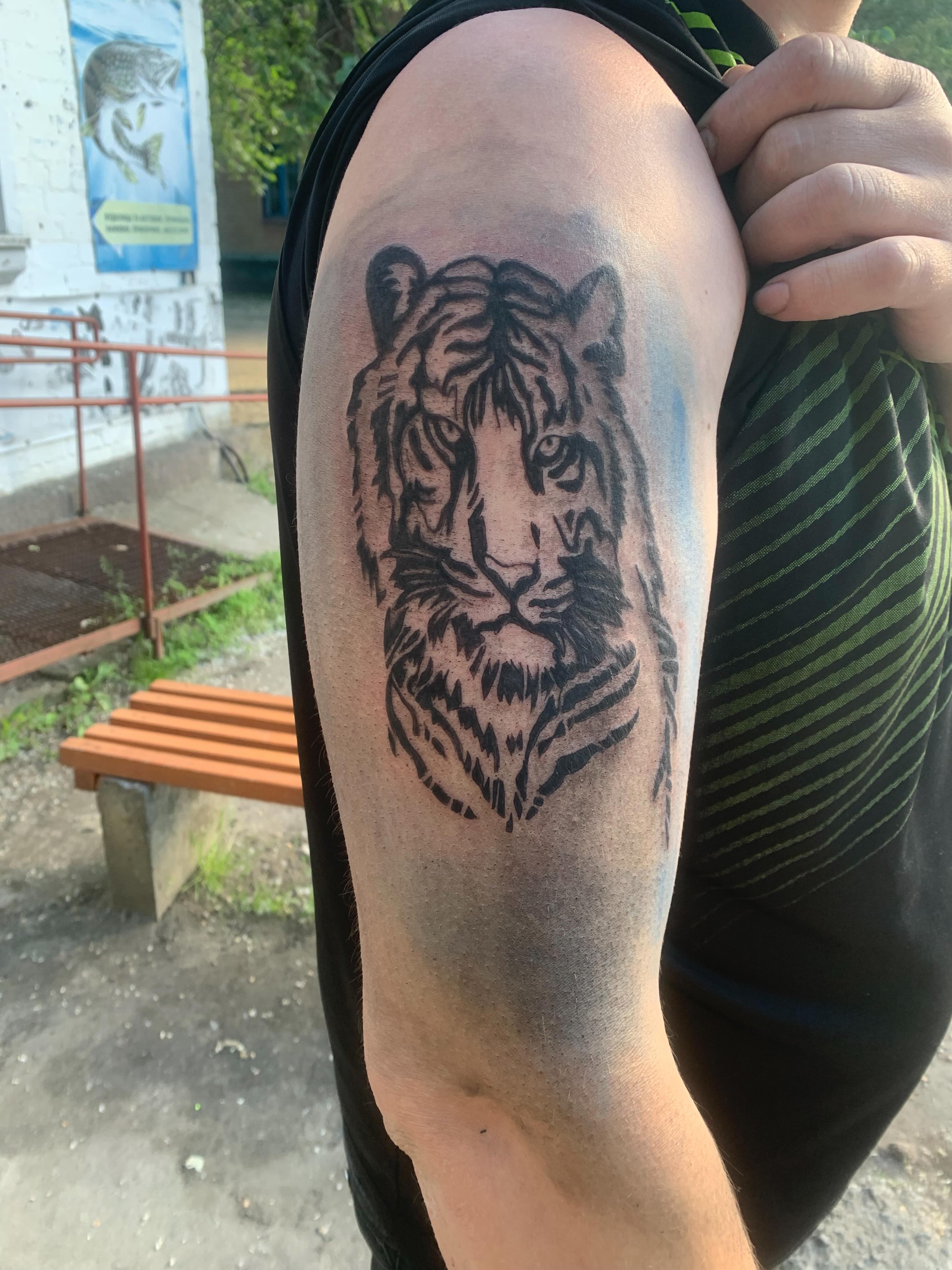 Tattoo by @_cats_and_tatts_ — black_and_grey
