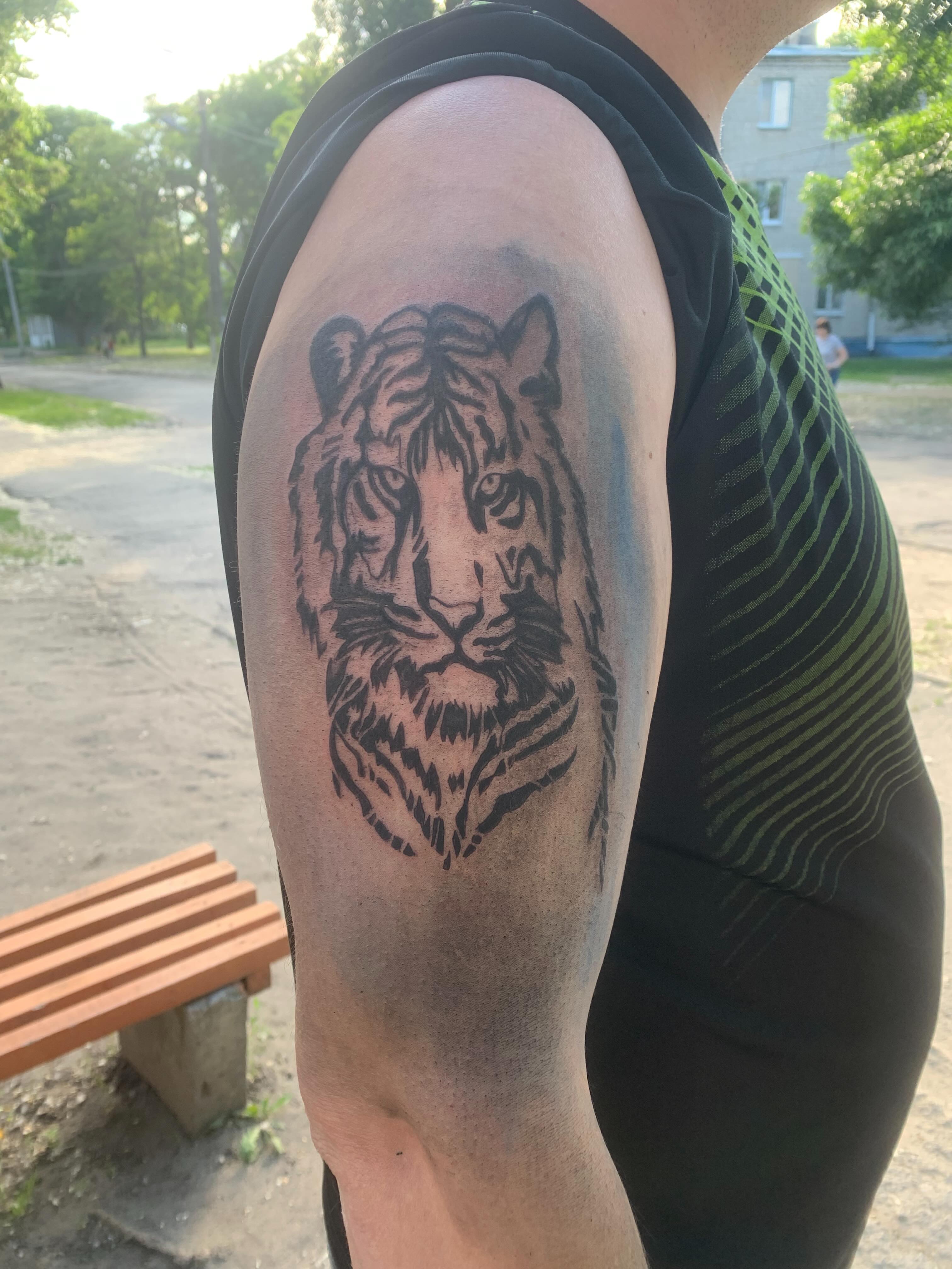 Tattoo by @_cats_and_tatts_ — black_and_grey