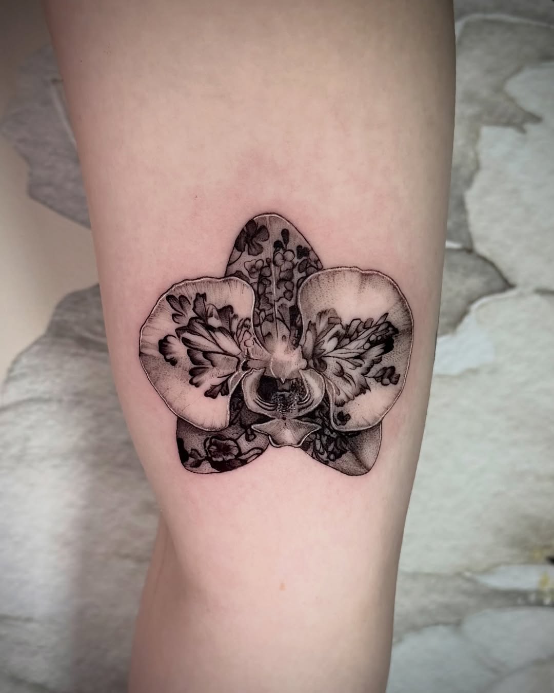 Tattoo by @emilytat222 — black_and_grey, realism