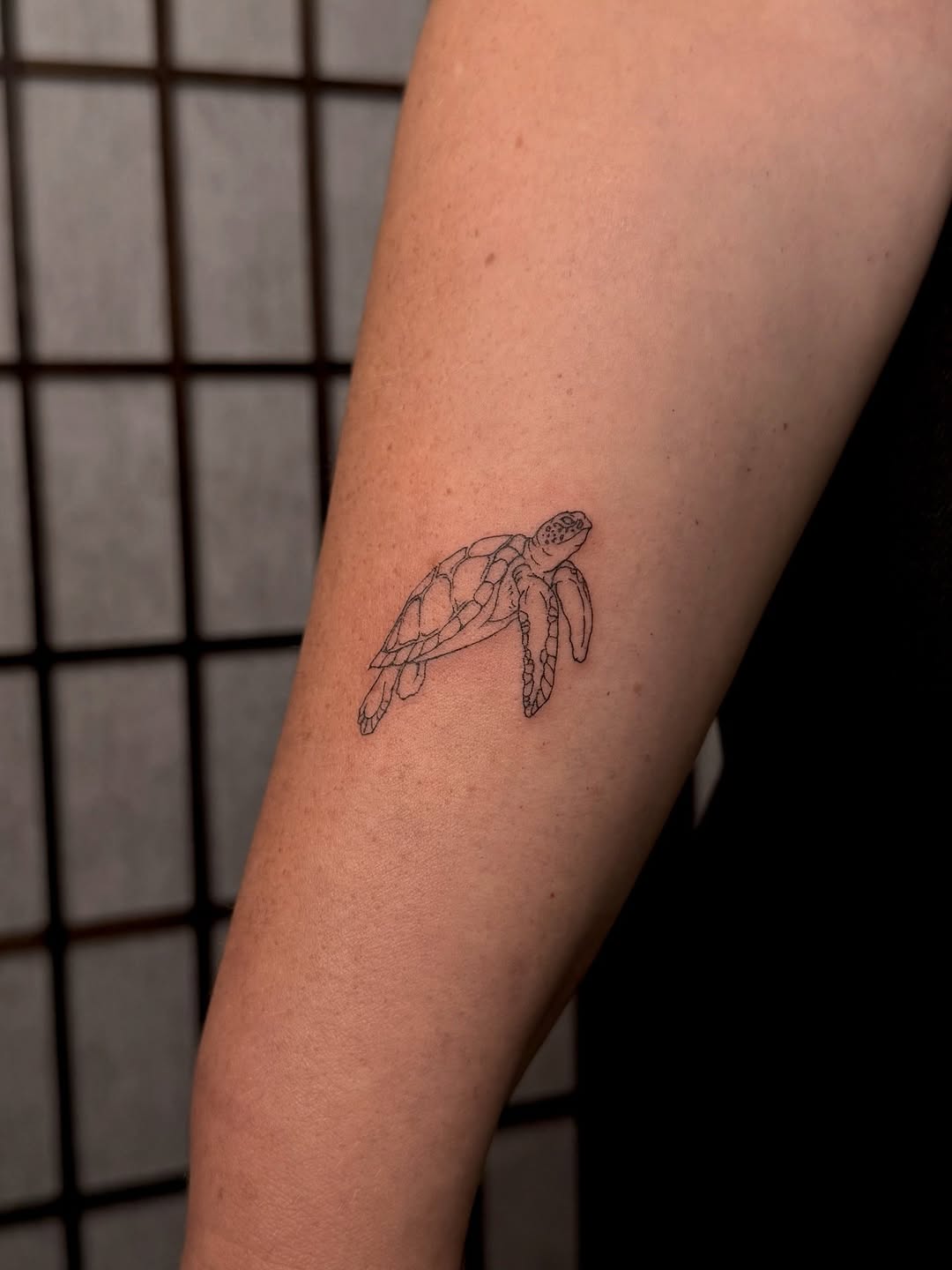 Tattoo by @aliceholdcrofttattoo — fine_line