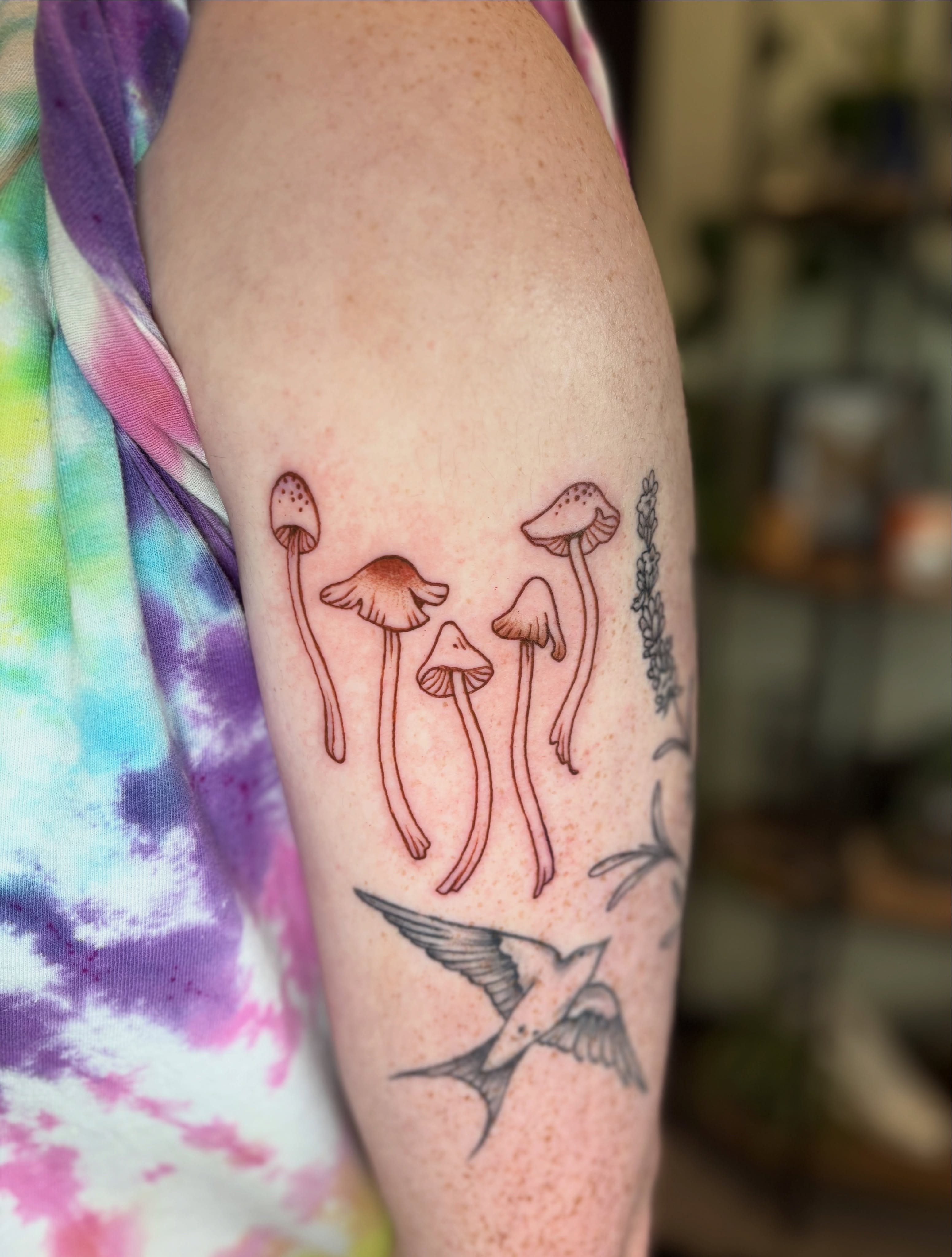 Mushrooms dotwork tattoo on the forearm by Sarah Lupo, Millbury, Massachusetts