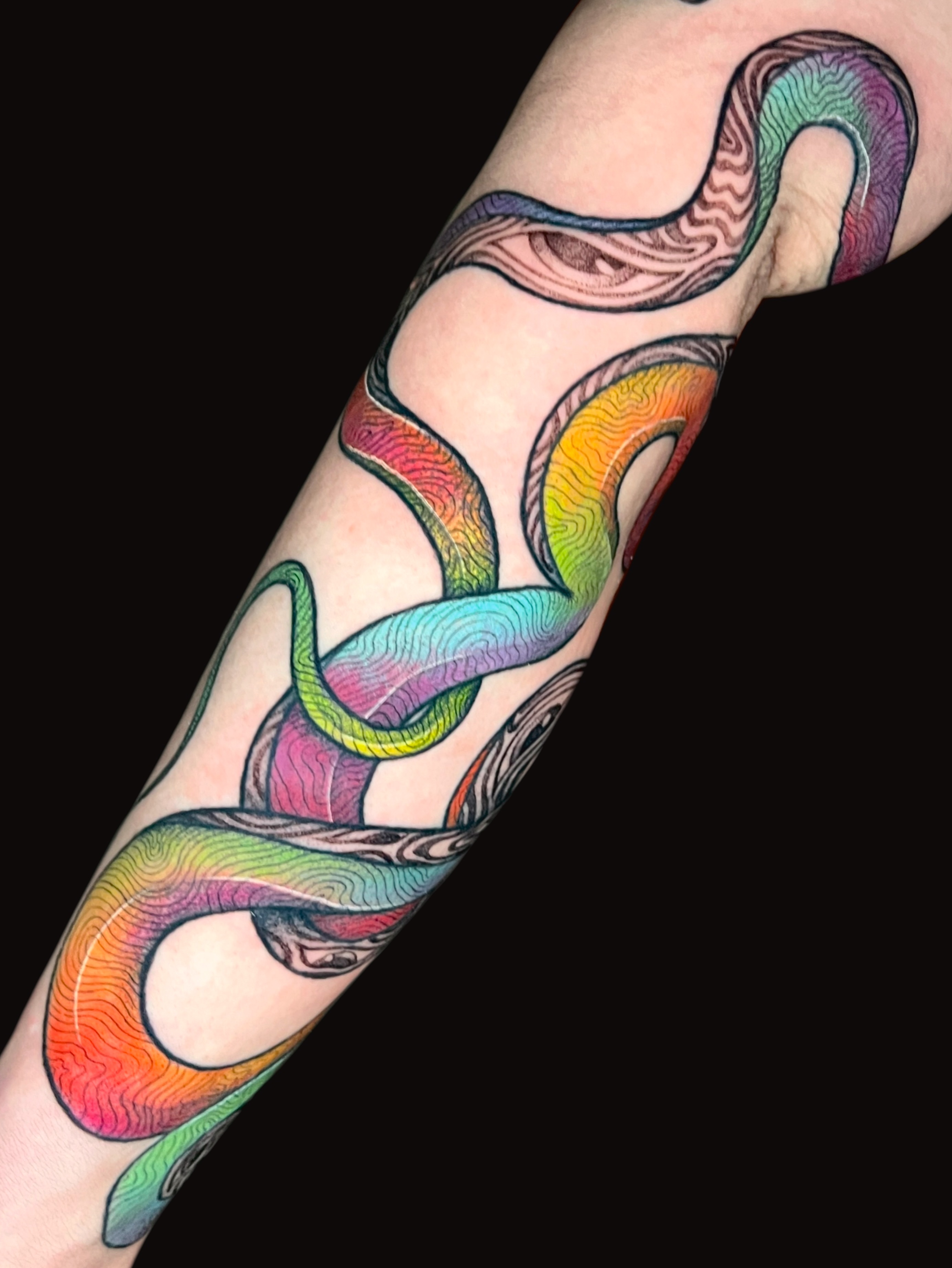 Snake new school tattoo on the forearm by ✨ Pata Pardee ✨ illustration tattoo
