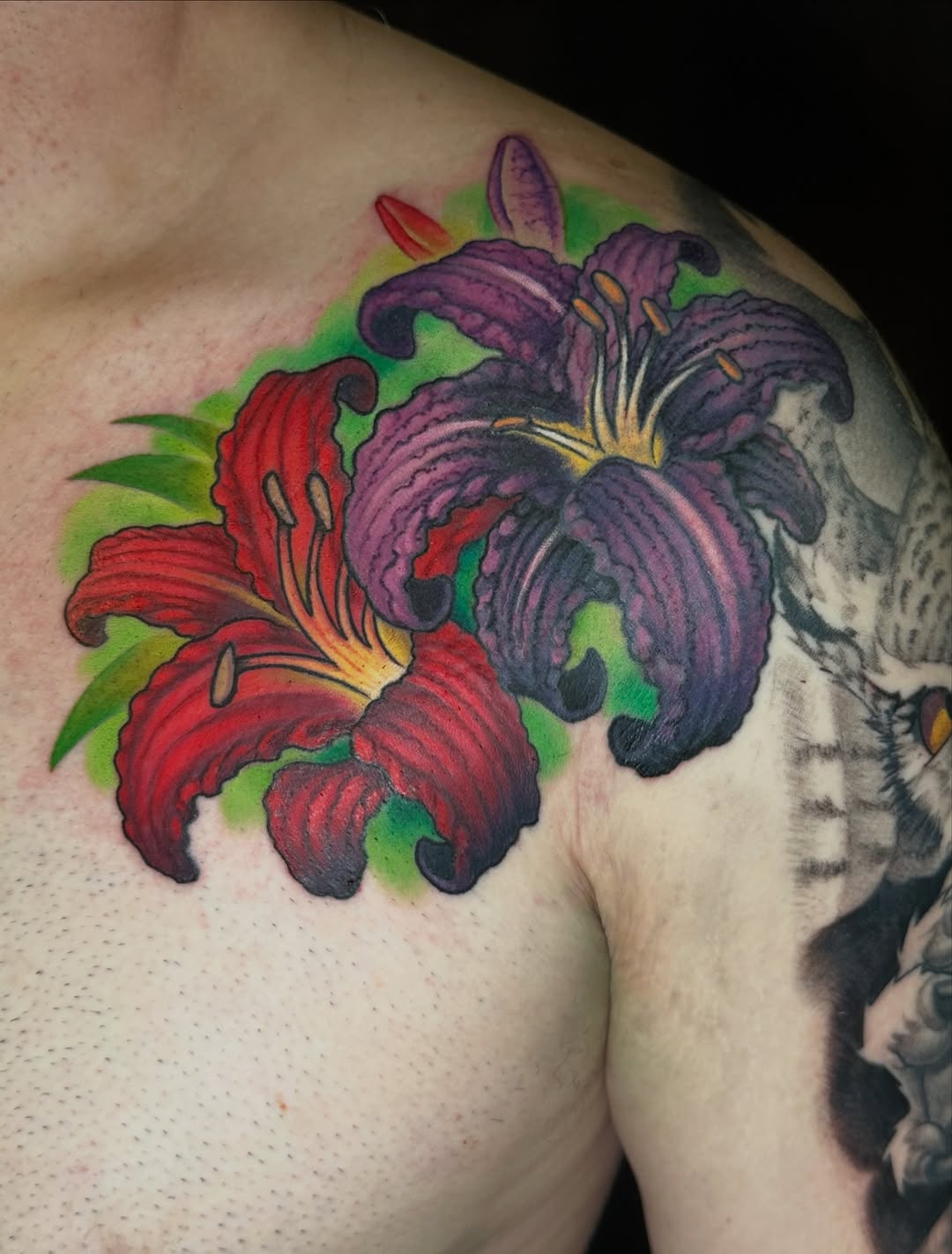 Tattoo by @shanebakertattoo — neo_traditional