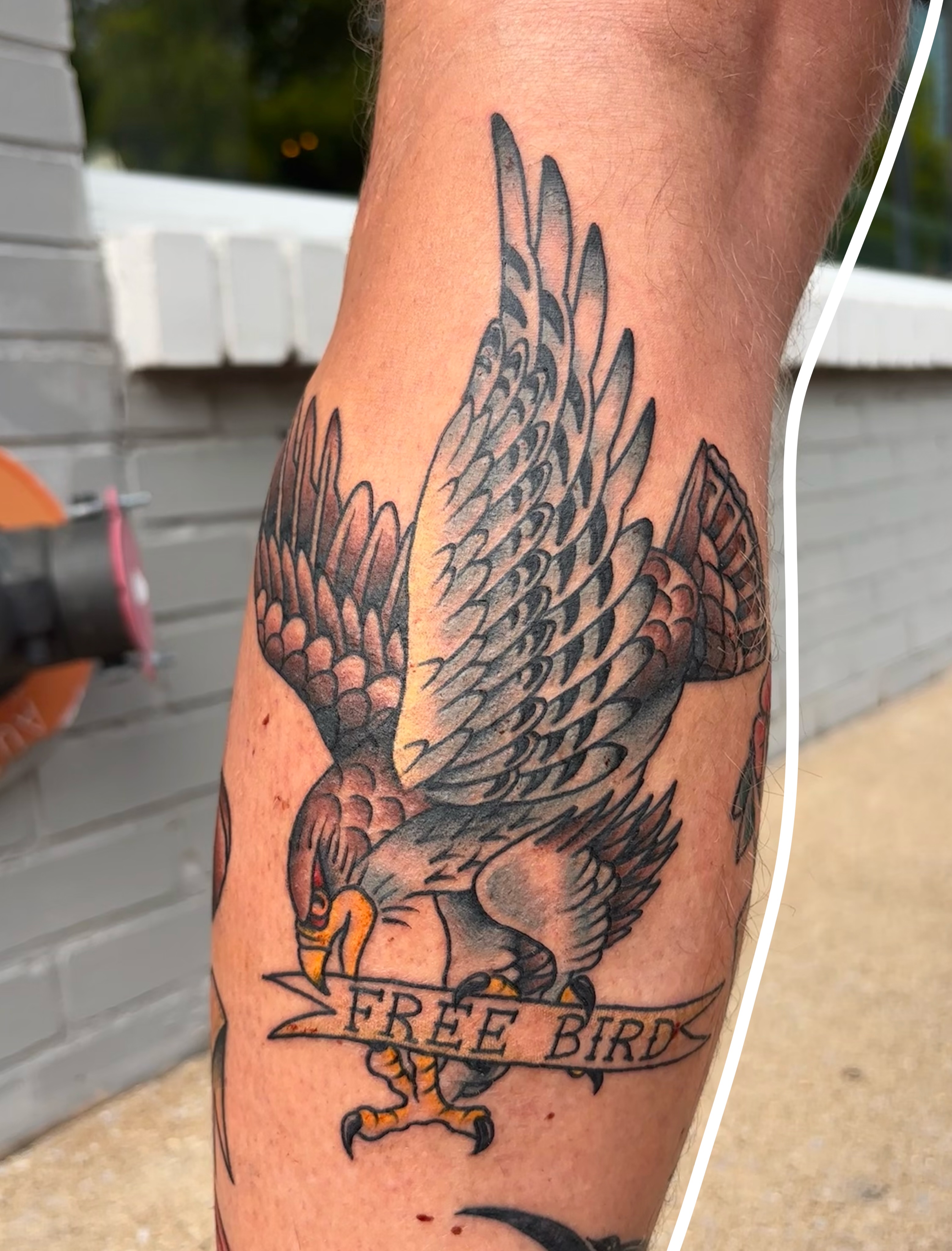 Eagle American traditional tattoo on the forearm by Emmy Stepien