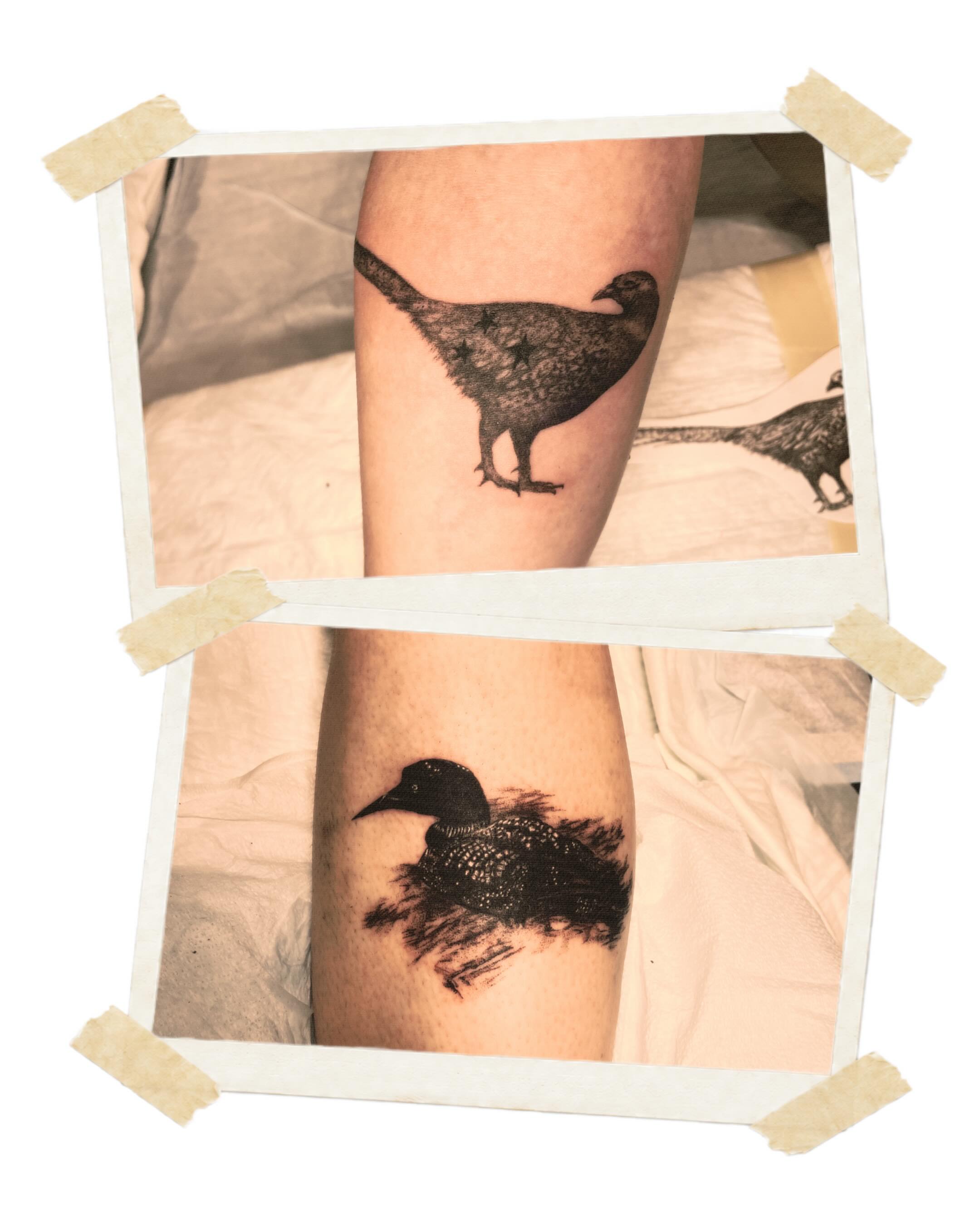 Loons black and grey tattoo on the forearm by sara ‧⭑𓆝 𓆟 𓆞 𓆝 𓆟 ⭑‧₊