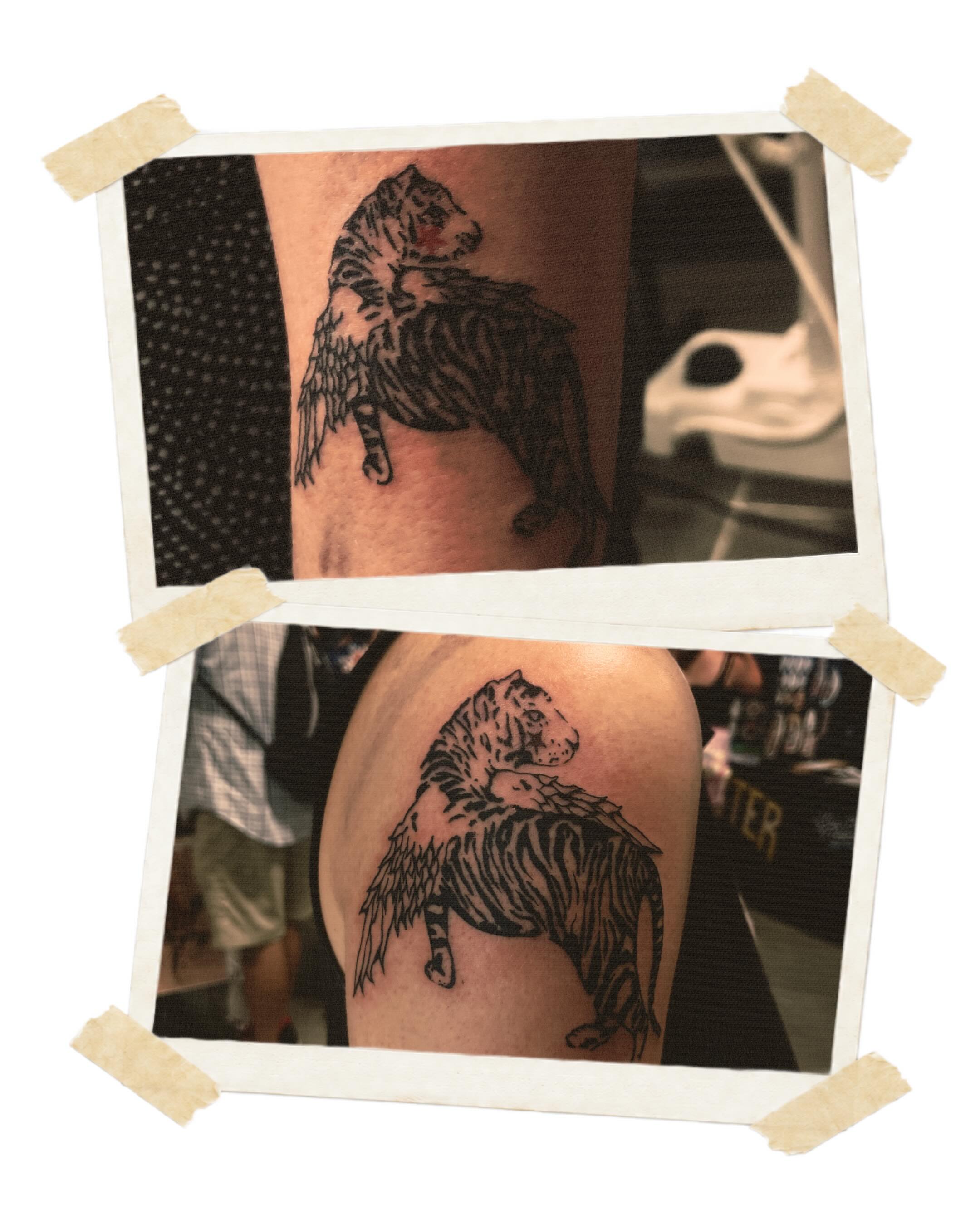 Tiger black and grey tattoo on the upper arm by sara ‧⭑𓆝 𓆟 𓆞 𓆝 𓆟 ⭑‧₊