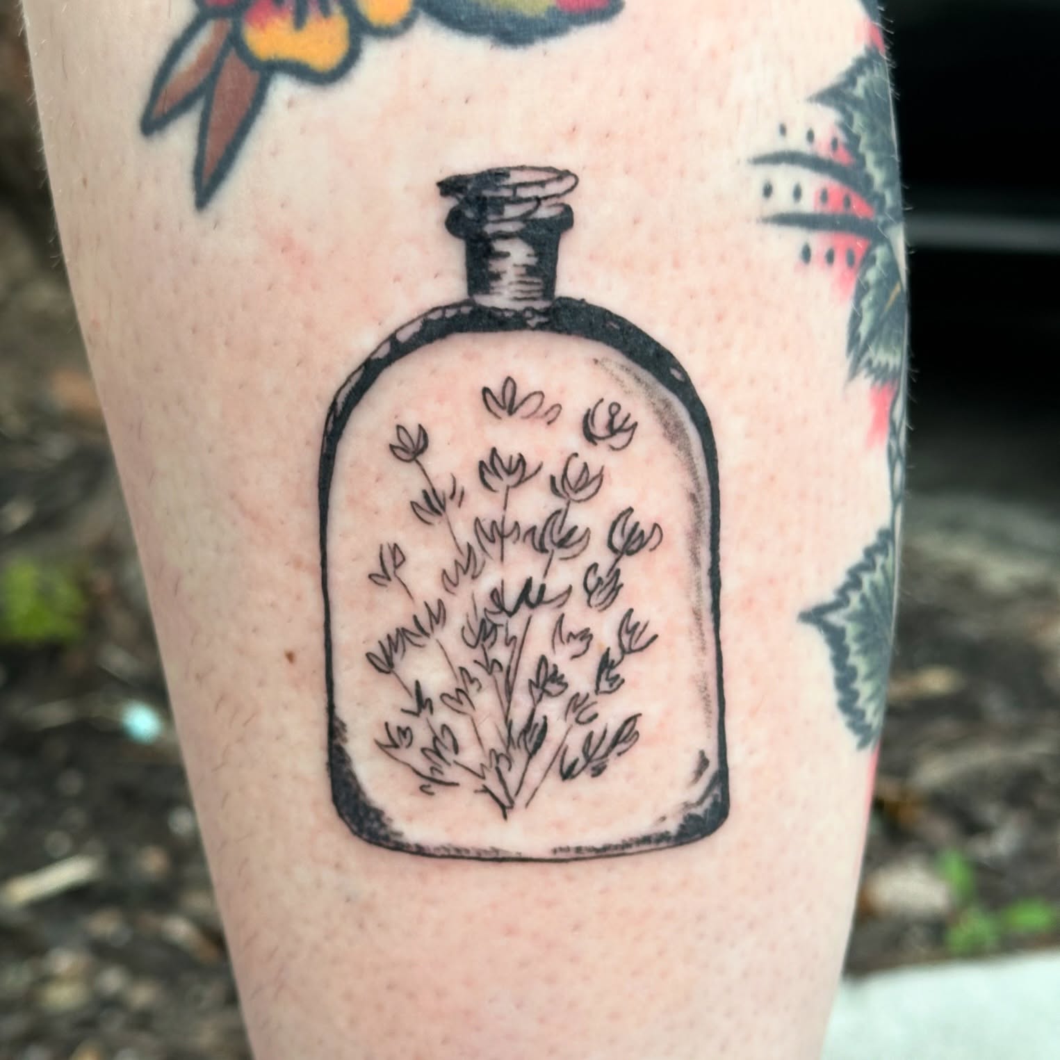 Botanical bottle black and grey tattoo on the forearm by reid - tattoo artist