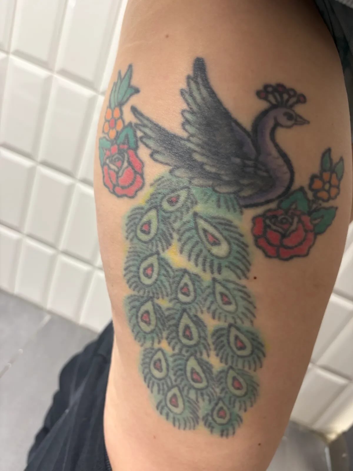 Peacock and roses American traditional tattoo on the thigh by Gabrielle Frelak, York, Pennsylvania