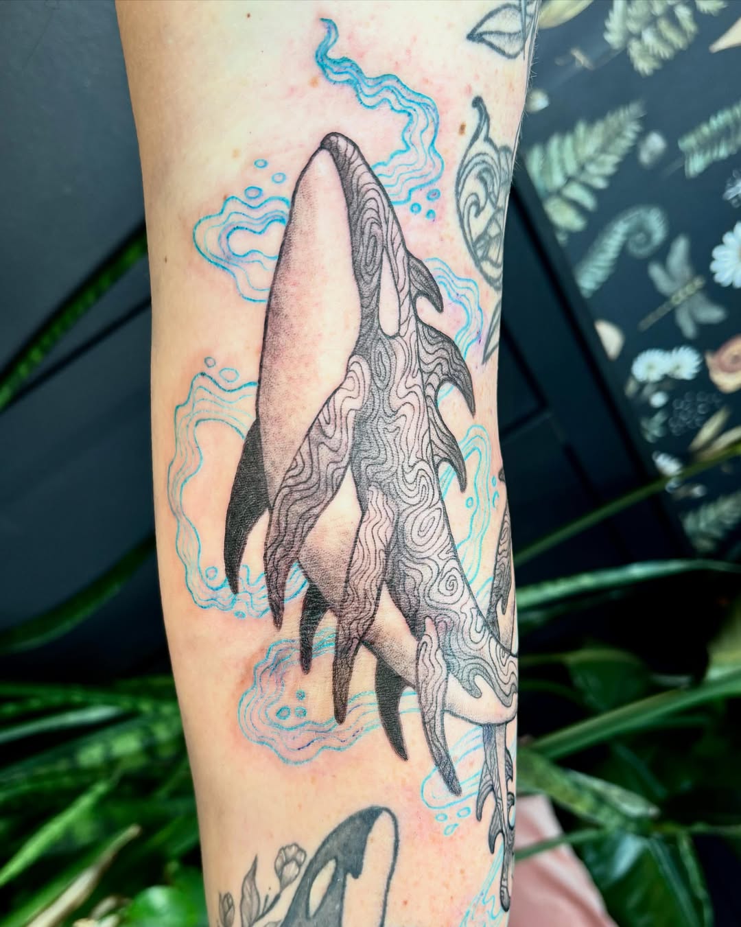 Shark black and grey tattoo on the forearm by Abby Ruok, Midvale, Utah