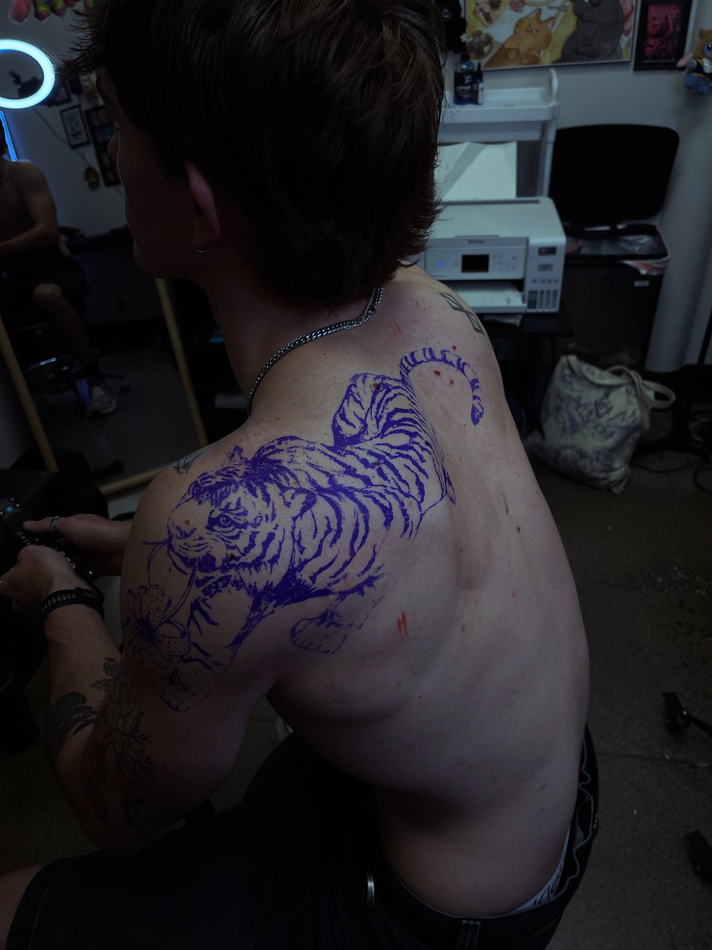 Tiger American traditional tattoo on the back by clarissa
