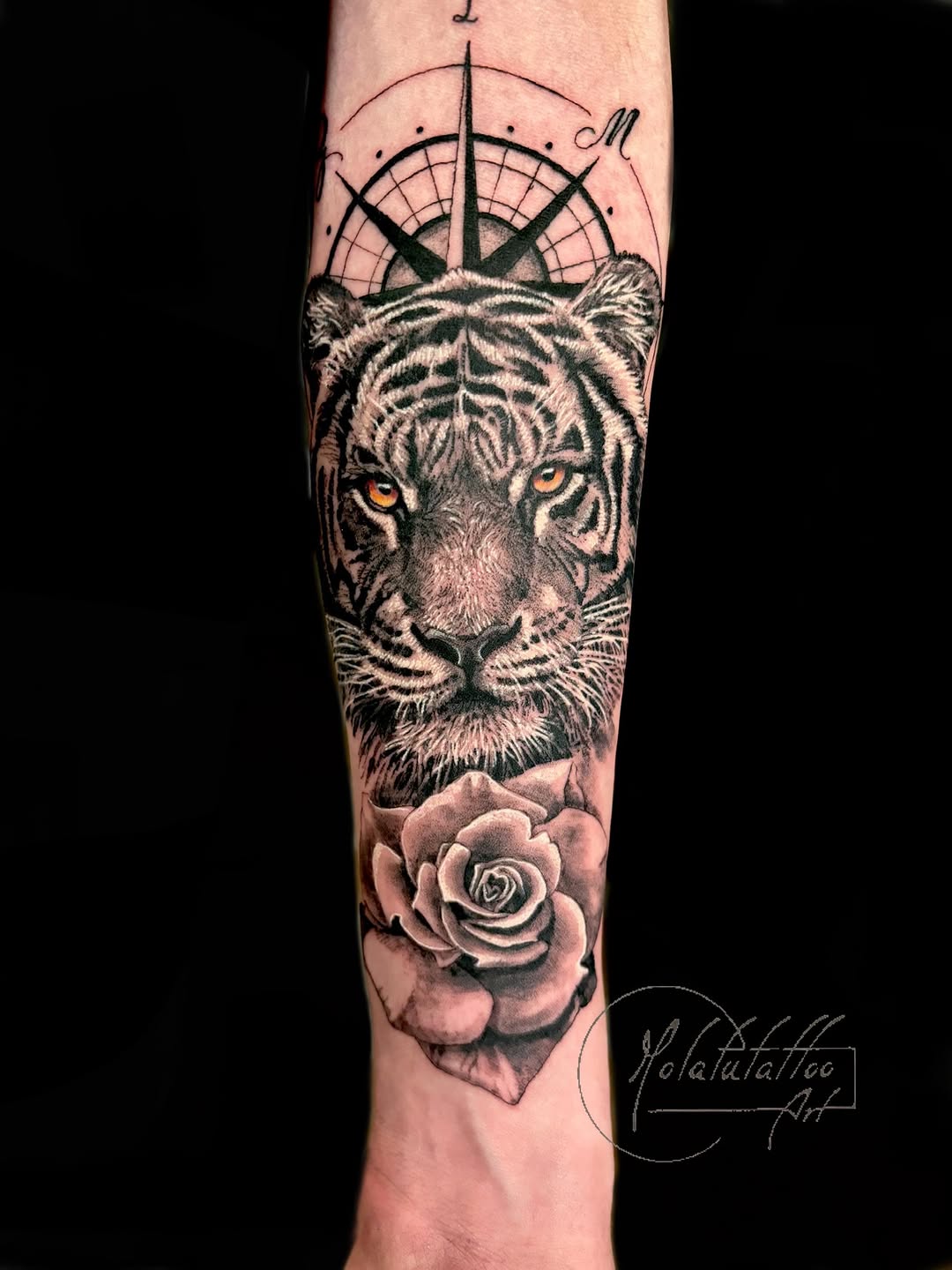 Tiger and rose with compass realism tattoo on the forearm by Molatutattoo