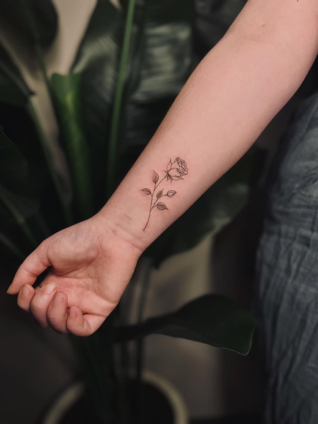 Tattoo by @daintylinestattoos — fine_line