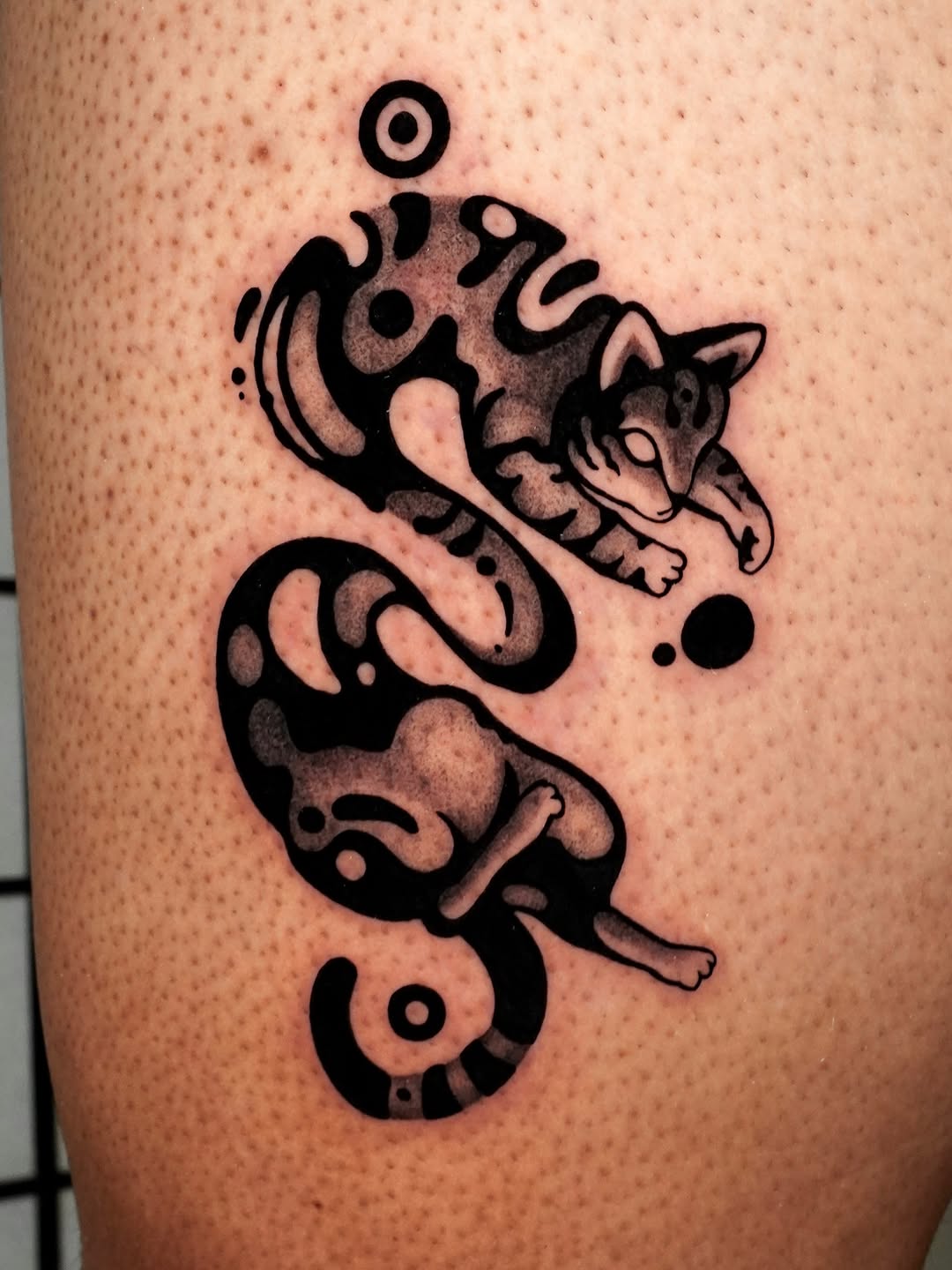 Stylized cat realism tattoo on the thigh by ▫️◽️◻️hunter Hayes◻️◽️▫️