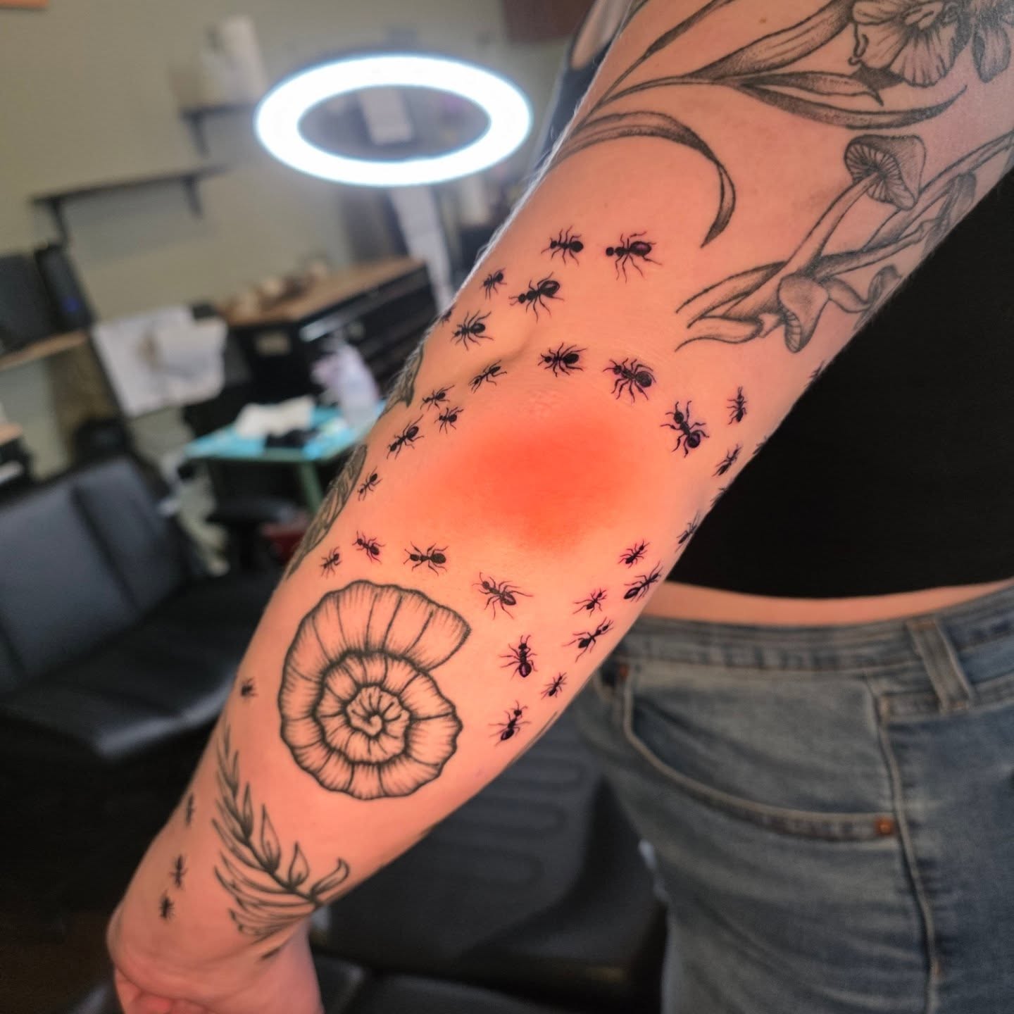 Ants and snail shell black and grey tattoo on the forearm by Maggie