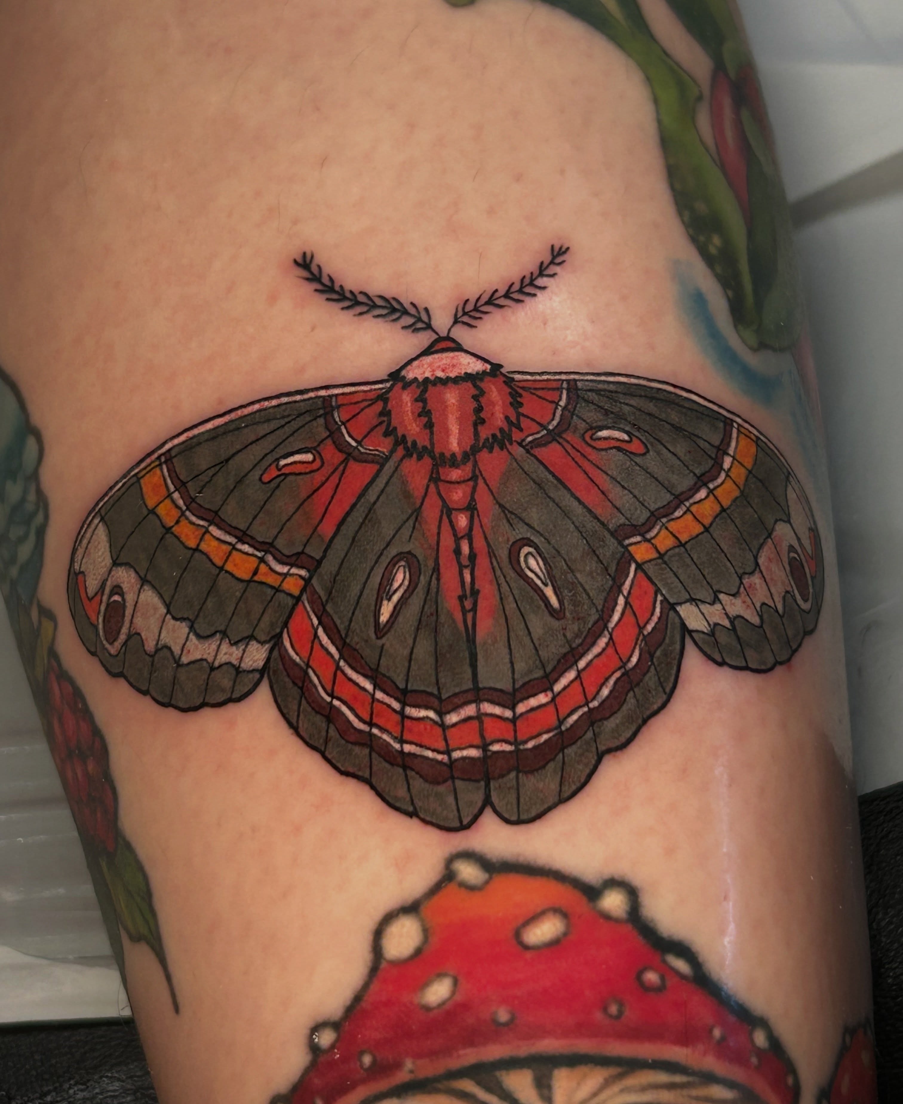 Tattoo by @alifaetattoos β american_traditional