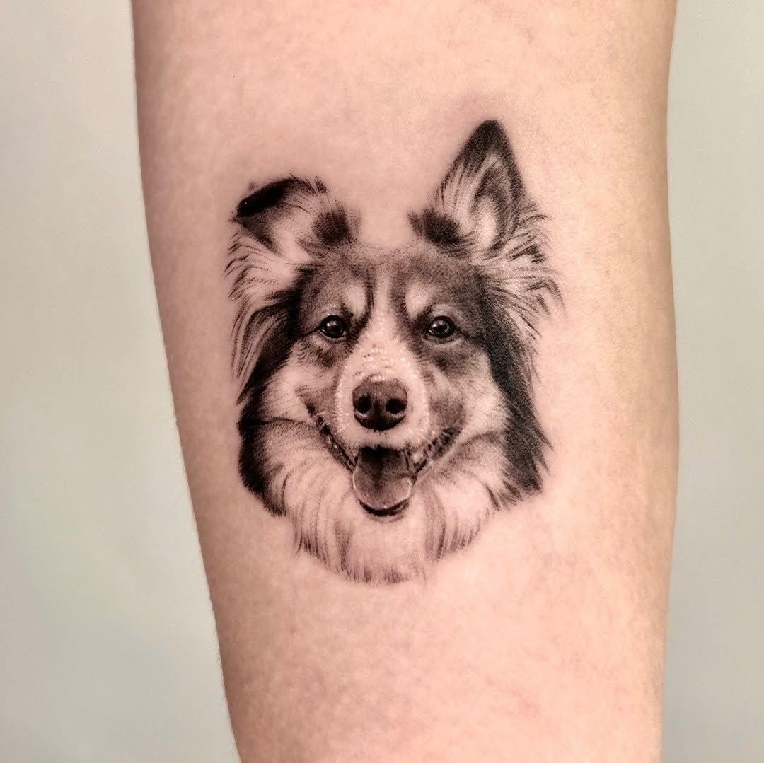 Dog portrait realism tattoo on the forearm by Longtea