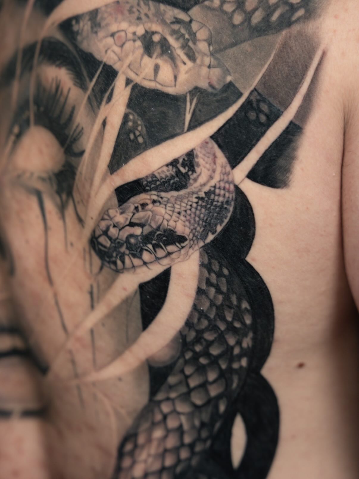 Snake realism tattoo on the chest by Natalie Shaw