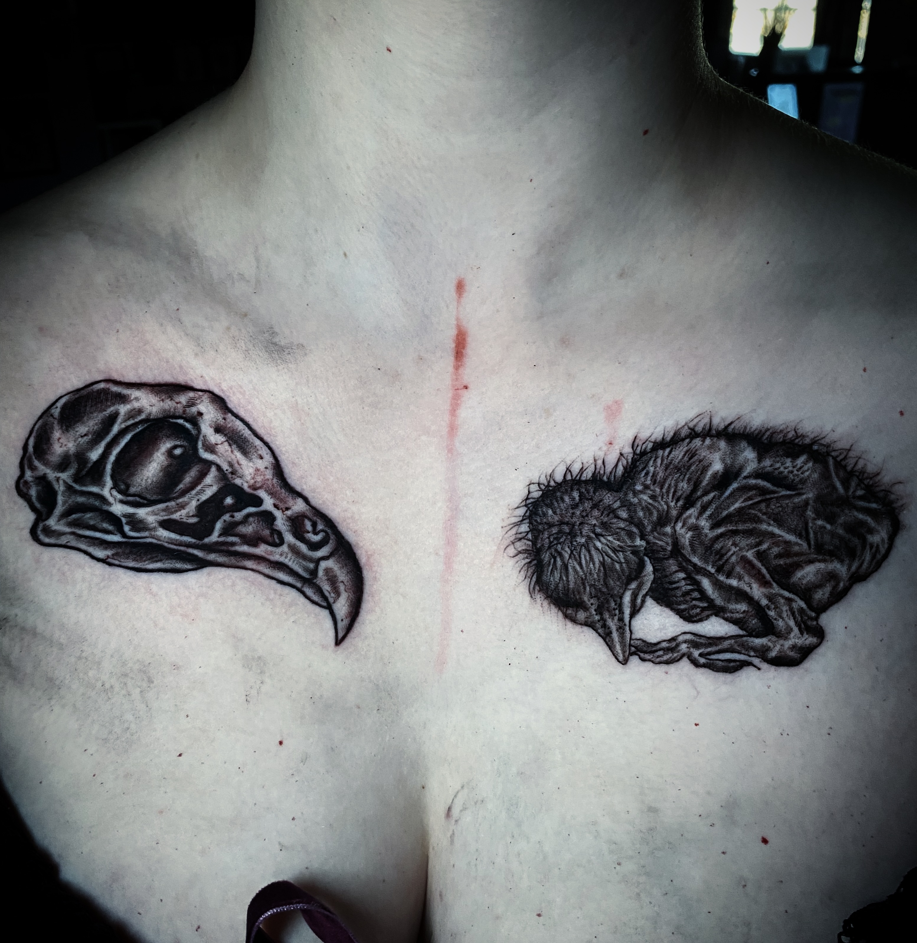 Bird skull and bird realism tattoo on the chest by Randi Frey