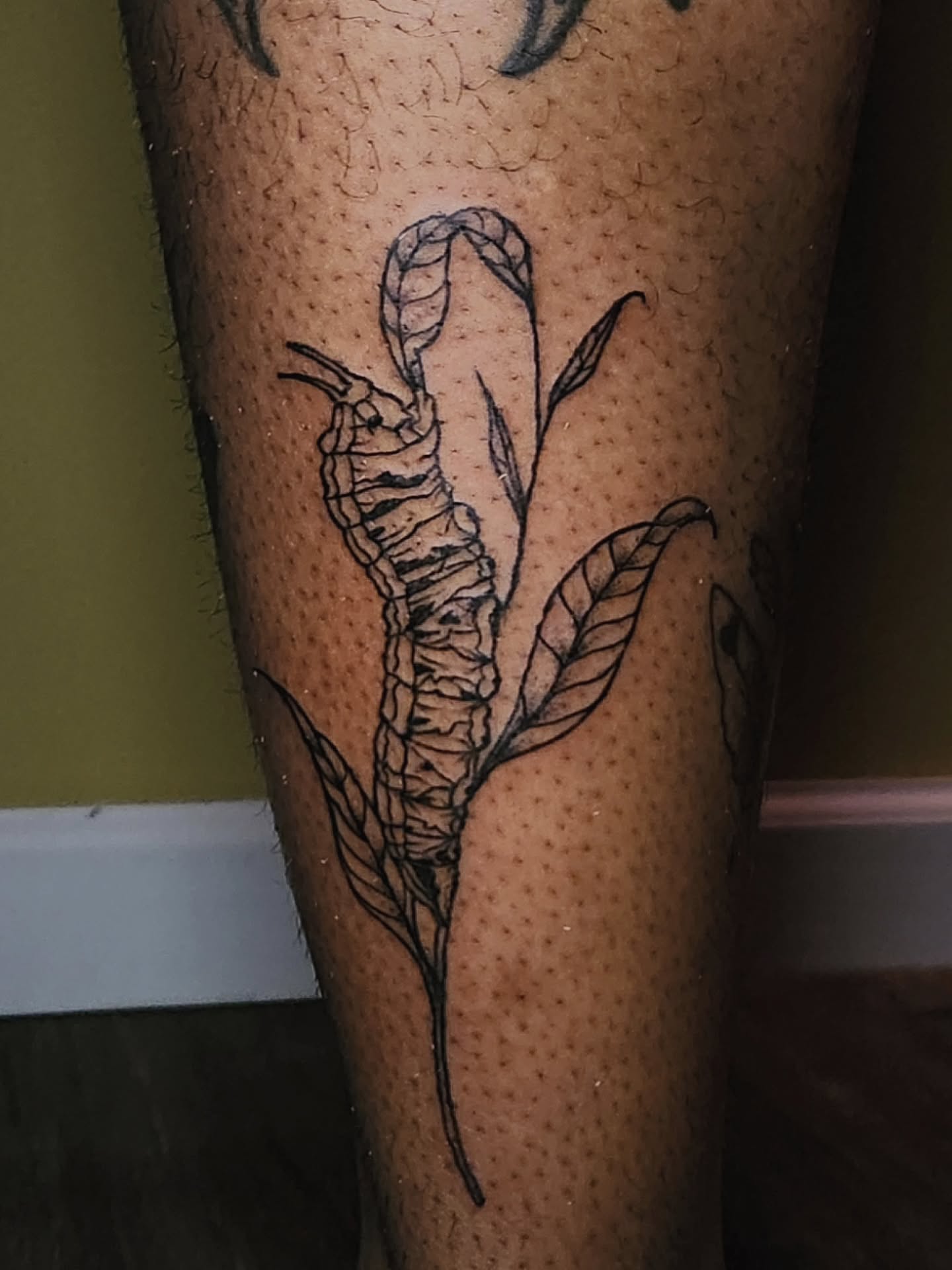 Worm and plant black and grey tattoo on the leg by Tattoos by River