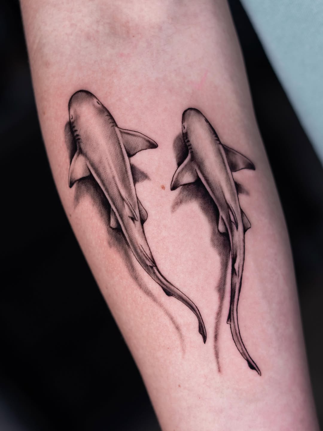 Two sharks fine line tattoo on the forearm by Charlotte Tattoo Artist