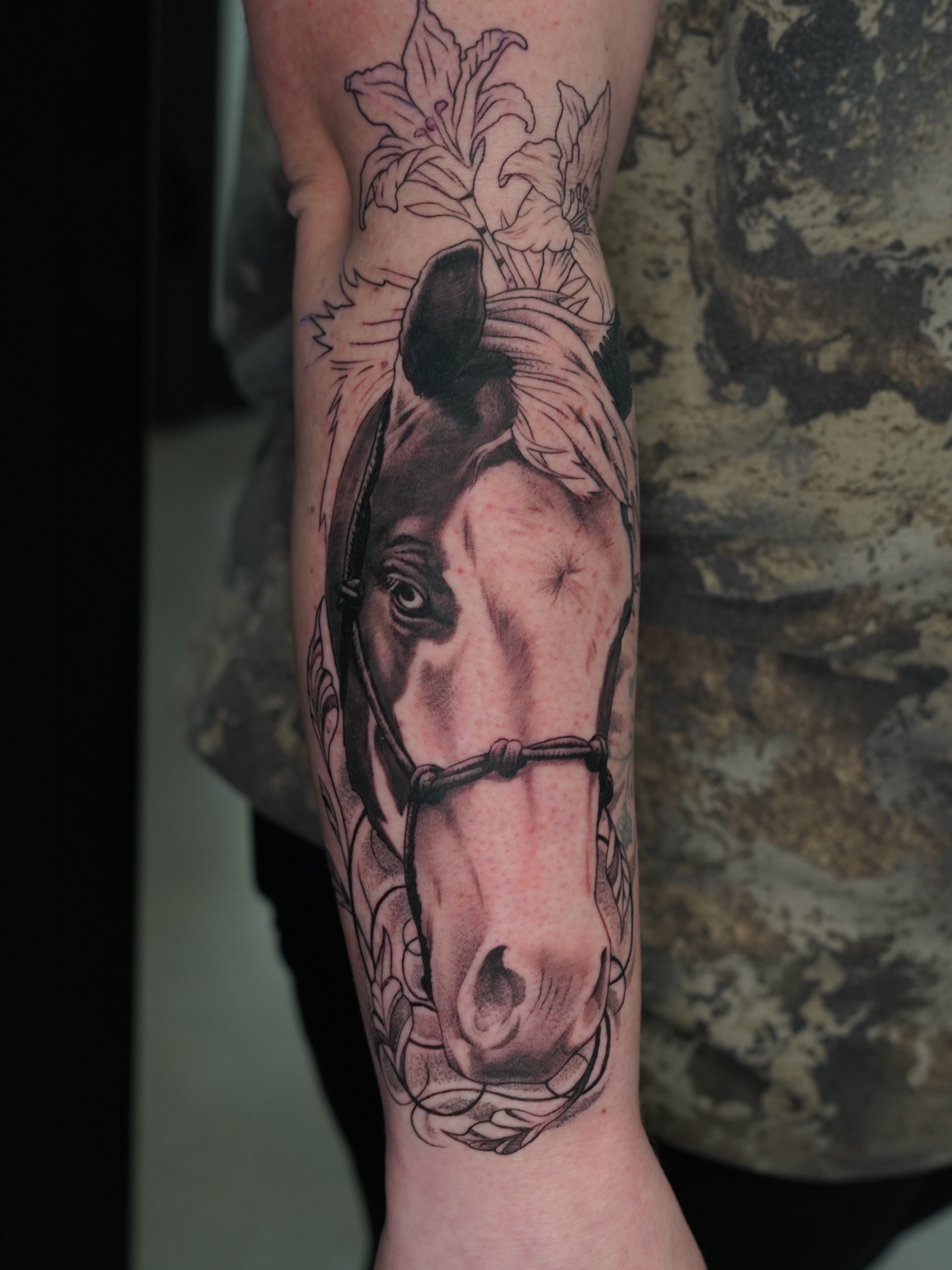 Horse head realism tattoo on the forearm by Derek Foferek, Charlotte, North Carolina