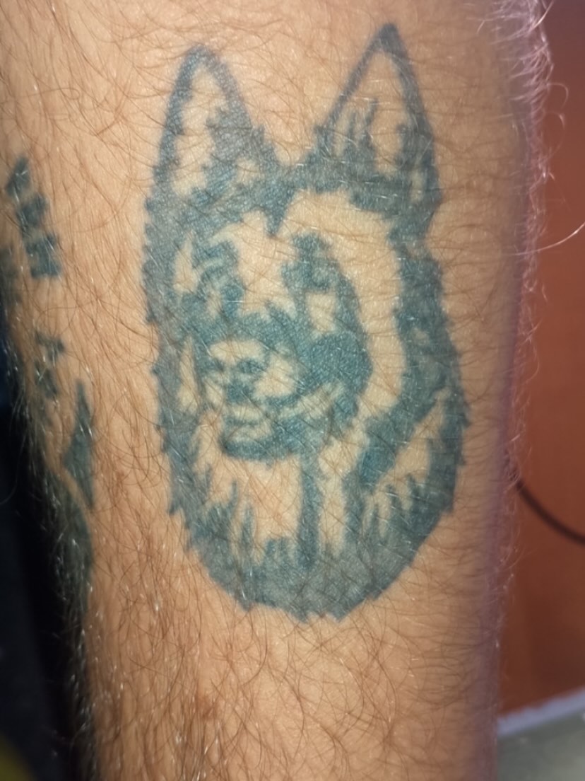 Tattoo by @_cats_and_tatts_ — american_traditional