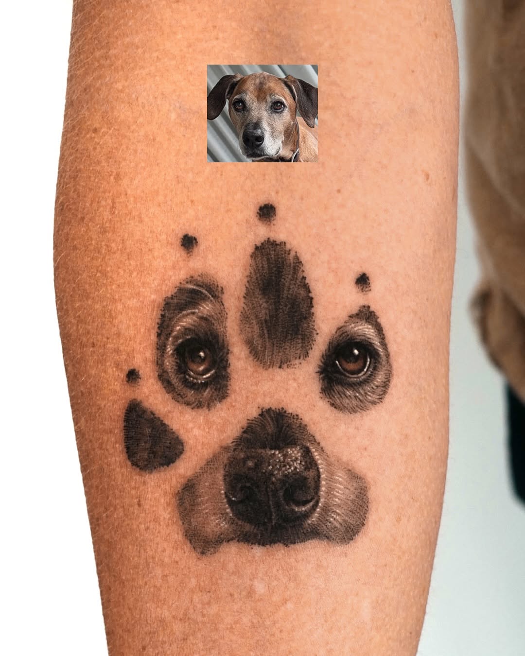 Dog paw print with dog's face realism tattoo on the forearm by Ria Kim 김리아