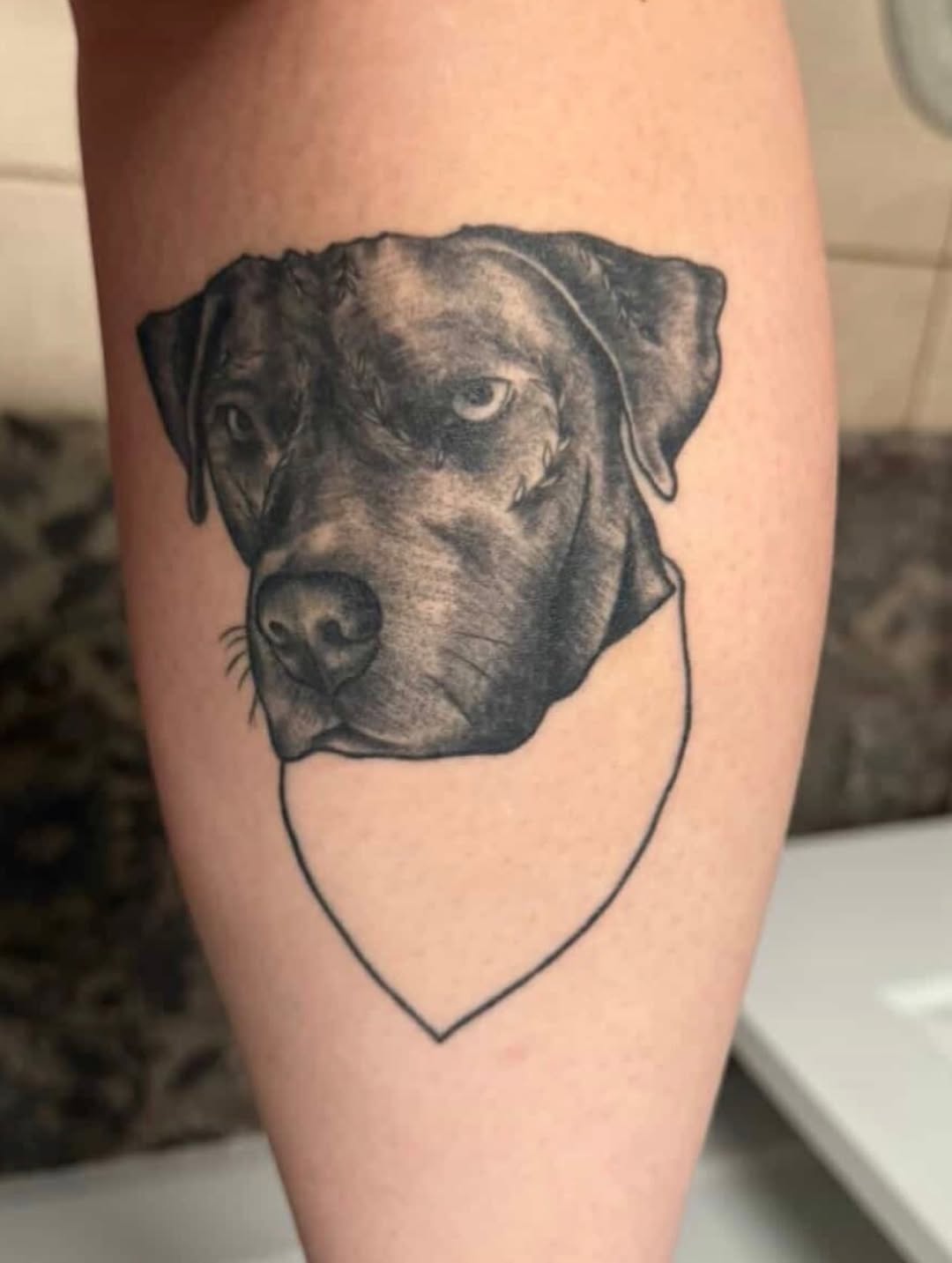 Dog portrait with bandana realism tattoo on the forearm by Cortnie, Nashville, Tennessee