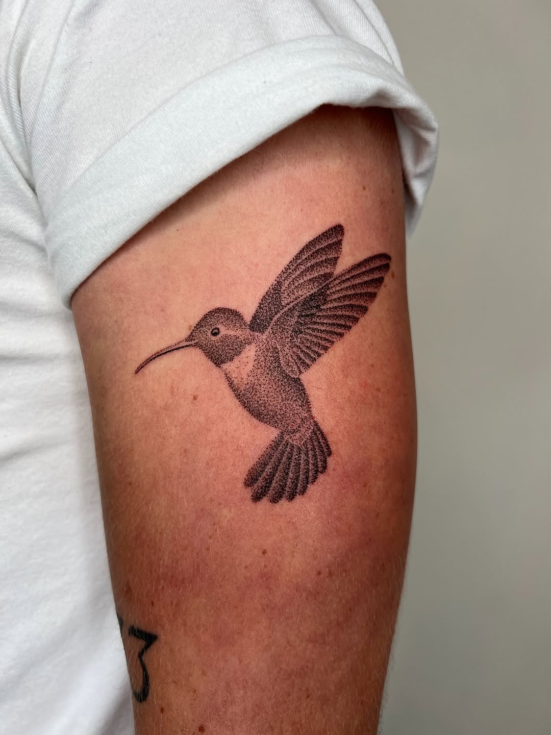 Tattoo by @thankyouforpoking — dotwork, black_and_grey