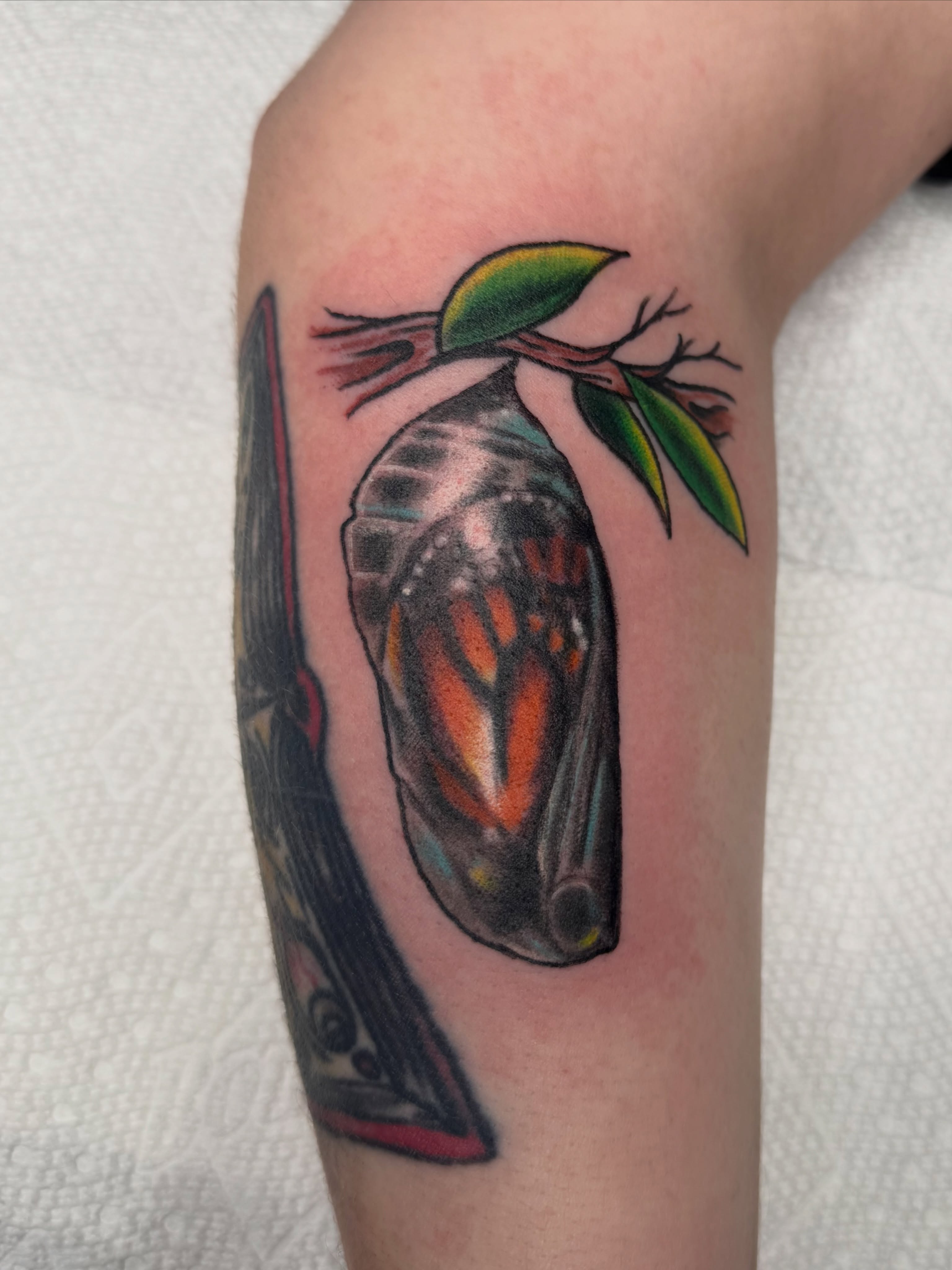 Monarch butterfly chrysalis American traditional tattoo on the forearm by Eric James, Columbus, Ohio