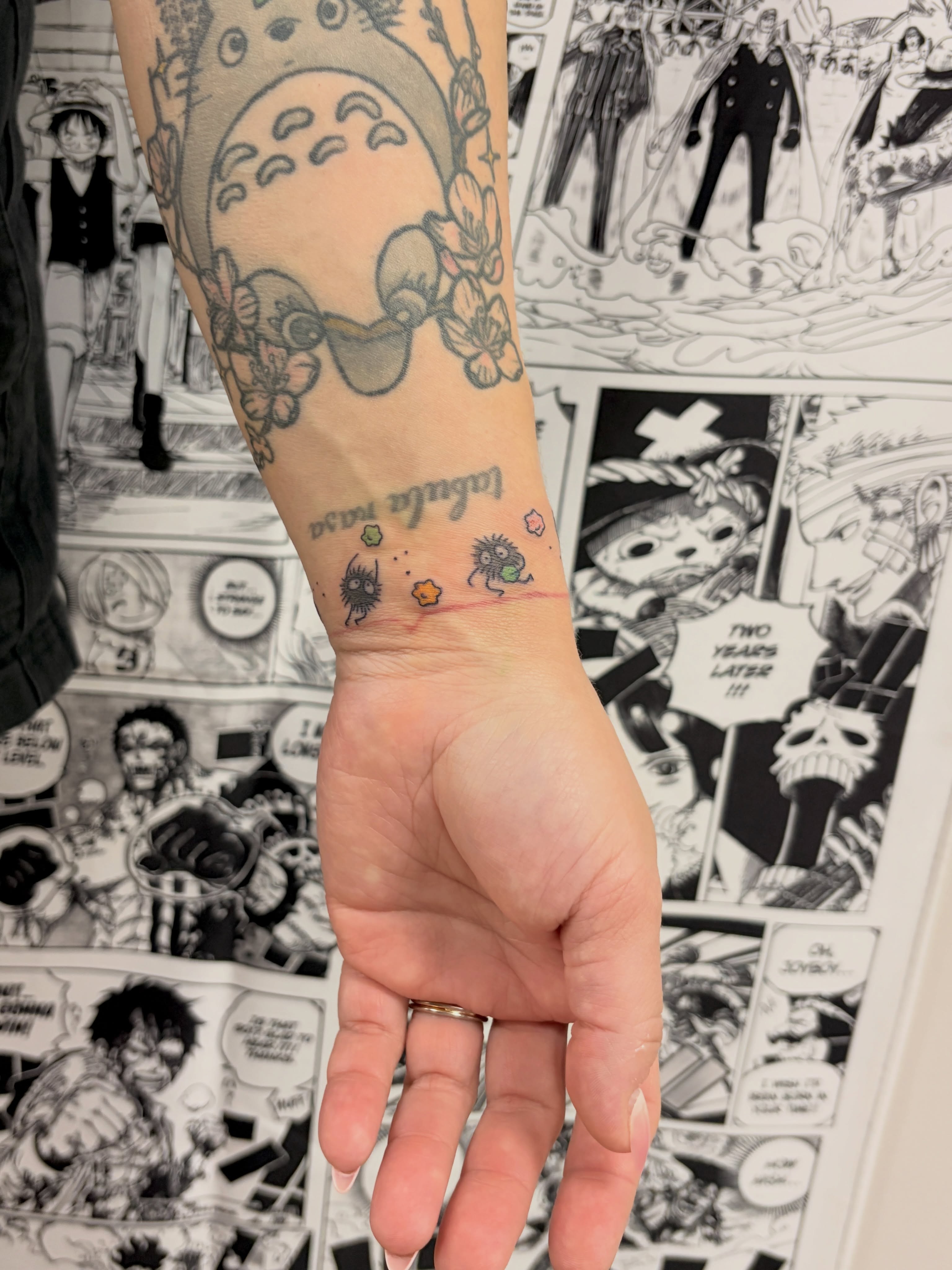 Totoro anime tattoo on the forearm by Chris, Cleveland, Ohio