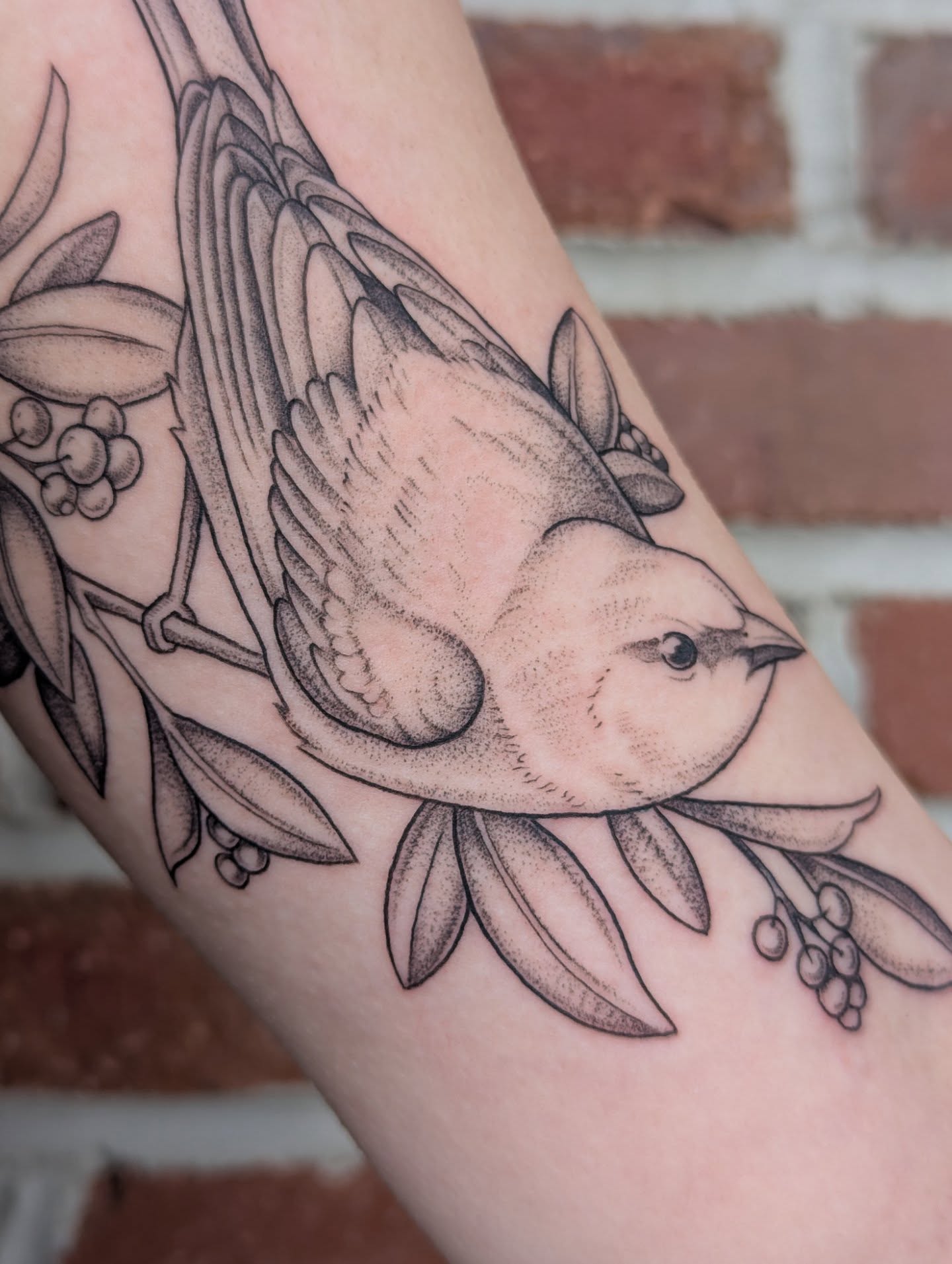 Tattoo by @colormemegantattoos โ dotwork, realism