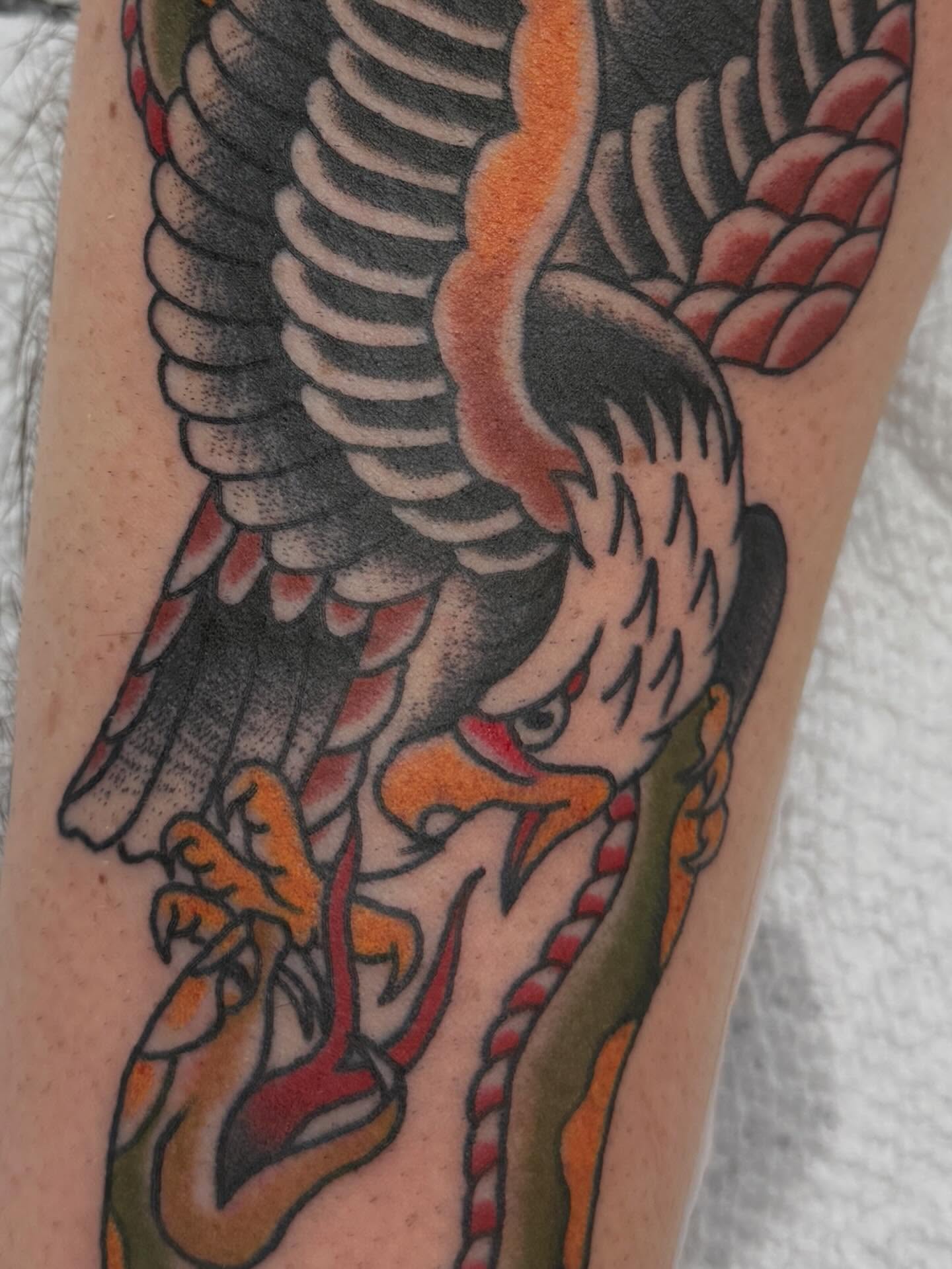 Eagle American traditional tattoo on the forearm by Trent Parsley