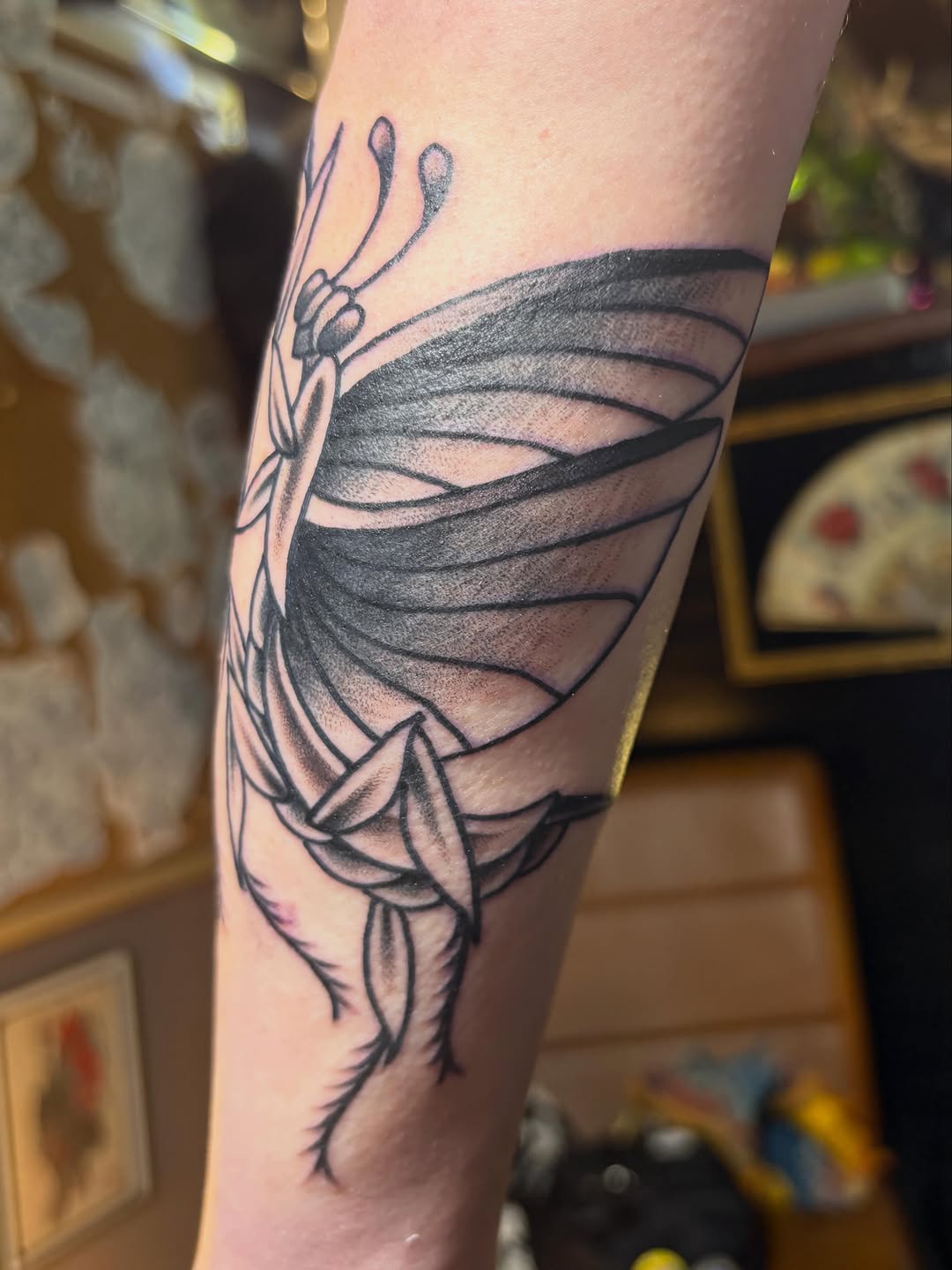 Tattoo by @gia.tattoos β black_and_grey, fine_line