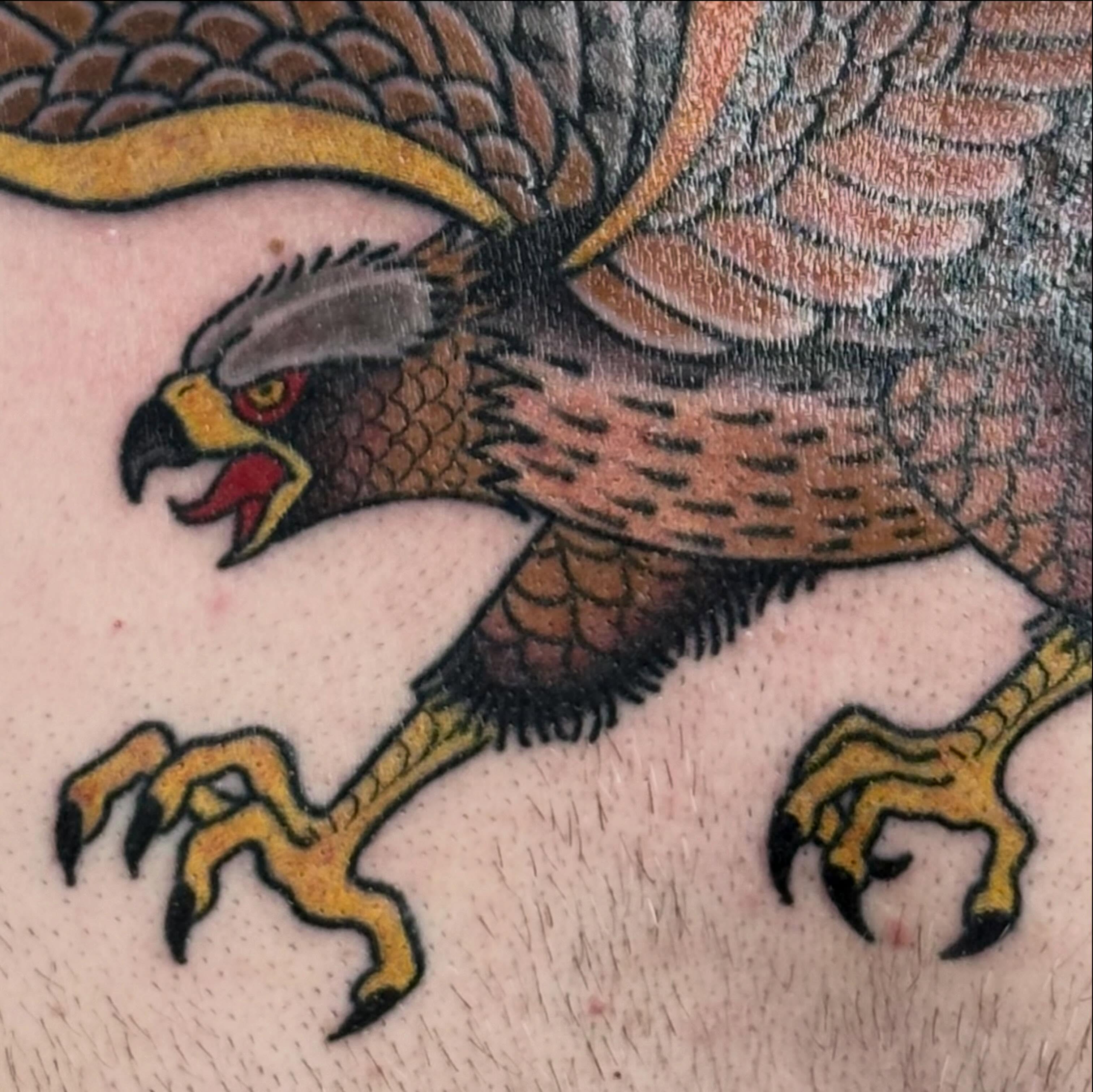 Hawk American traditional tattoo on the forearm by Timothy Kenee