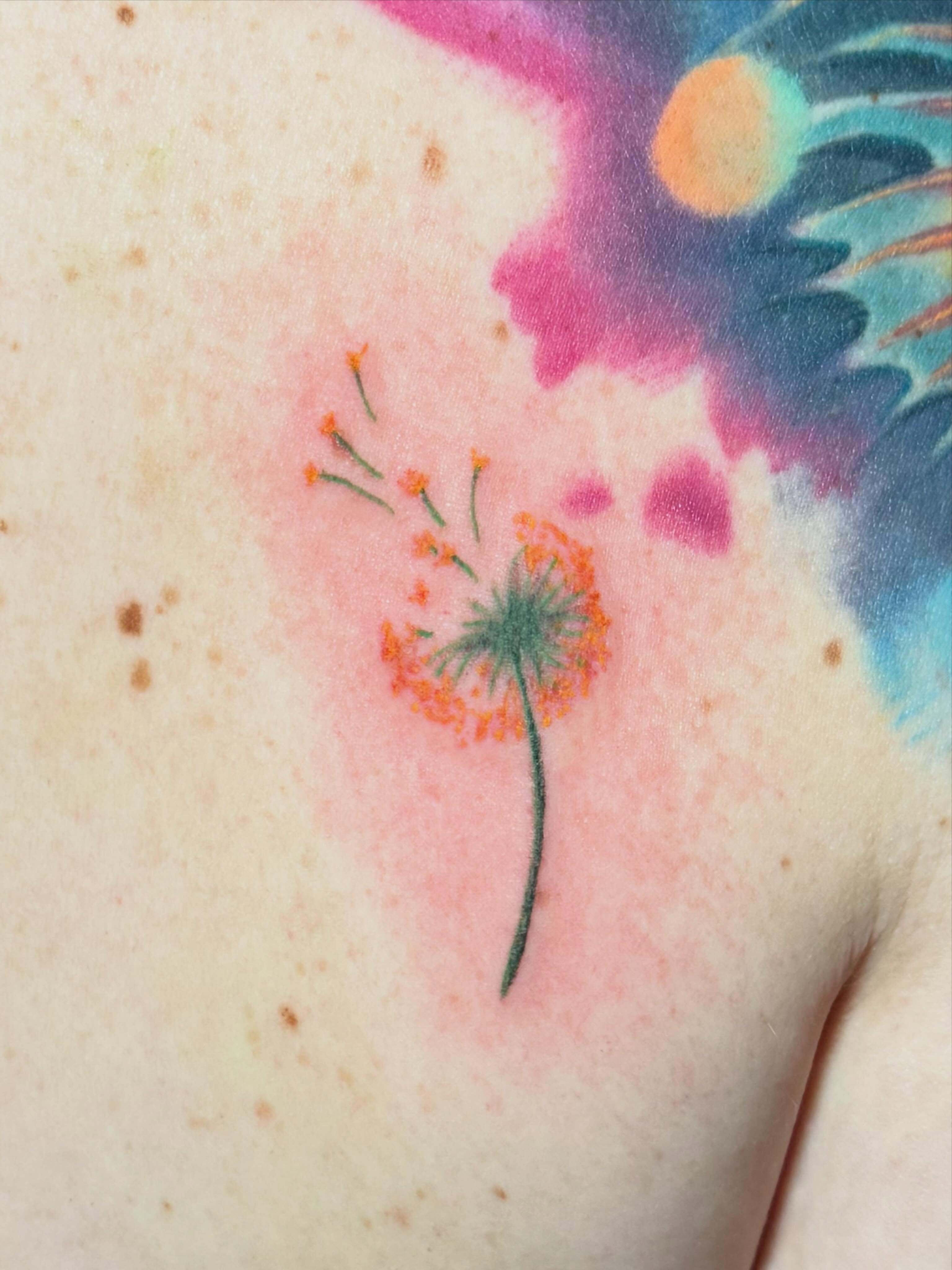 Dandelion watercolor tattoo on the shoulder by π΅ππππππ¦π€