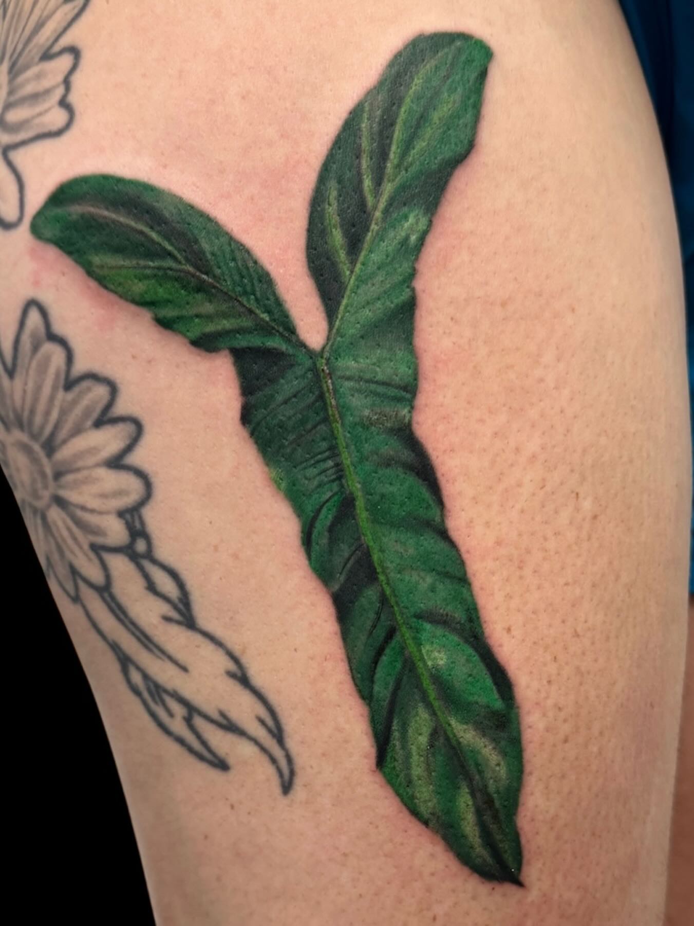 Banana leaf realism tattoo on the upper arm by Cody Glenn