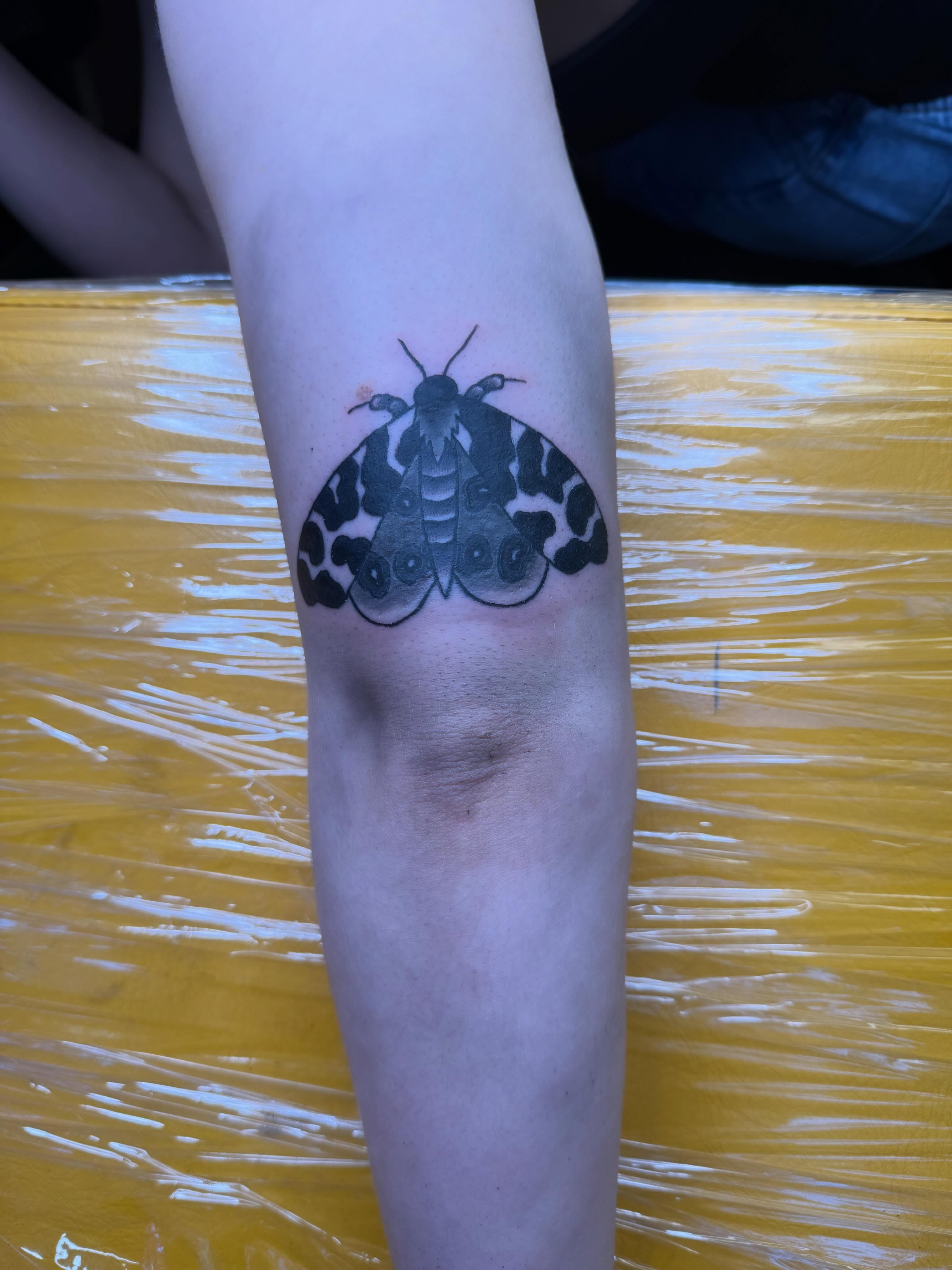 Moth black and grey tattoo on the forearm by Liz🗡️Fort Collins🗡️Tattoo Apprentice