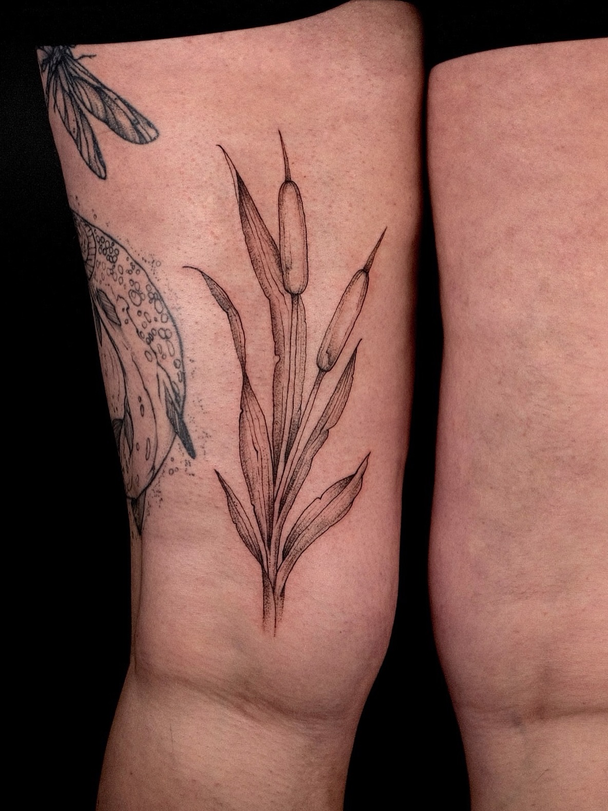 Tattoo by @shaypokes — black_and_grey