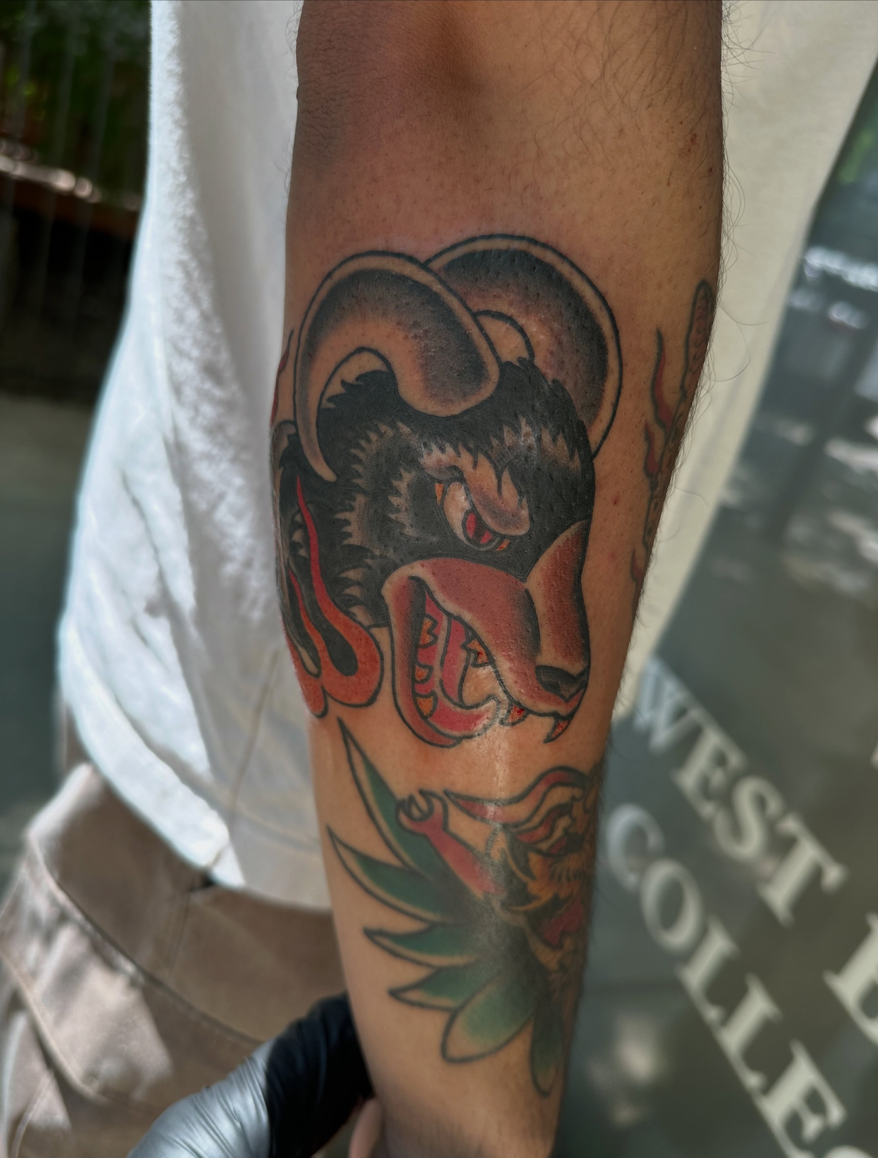 Ram head American traditional tattoo on the forearm by Andy Sharik