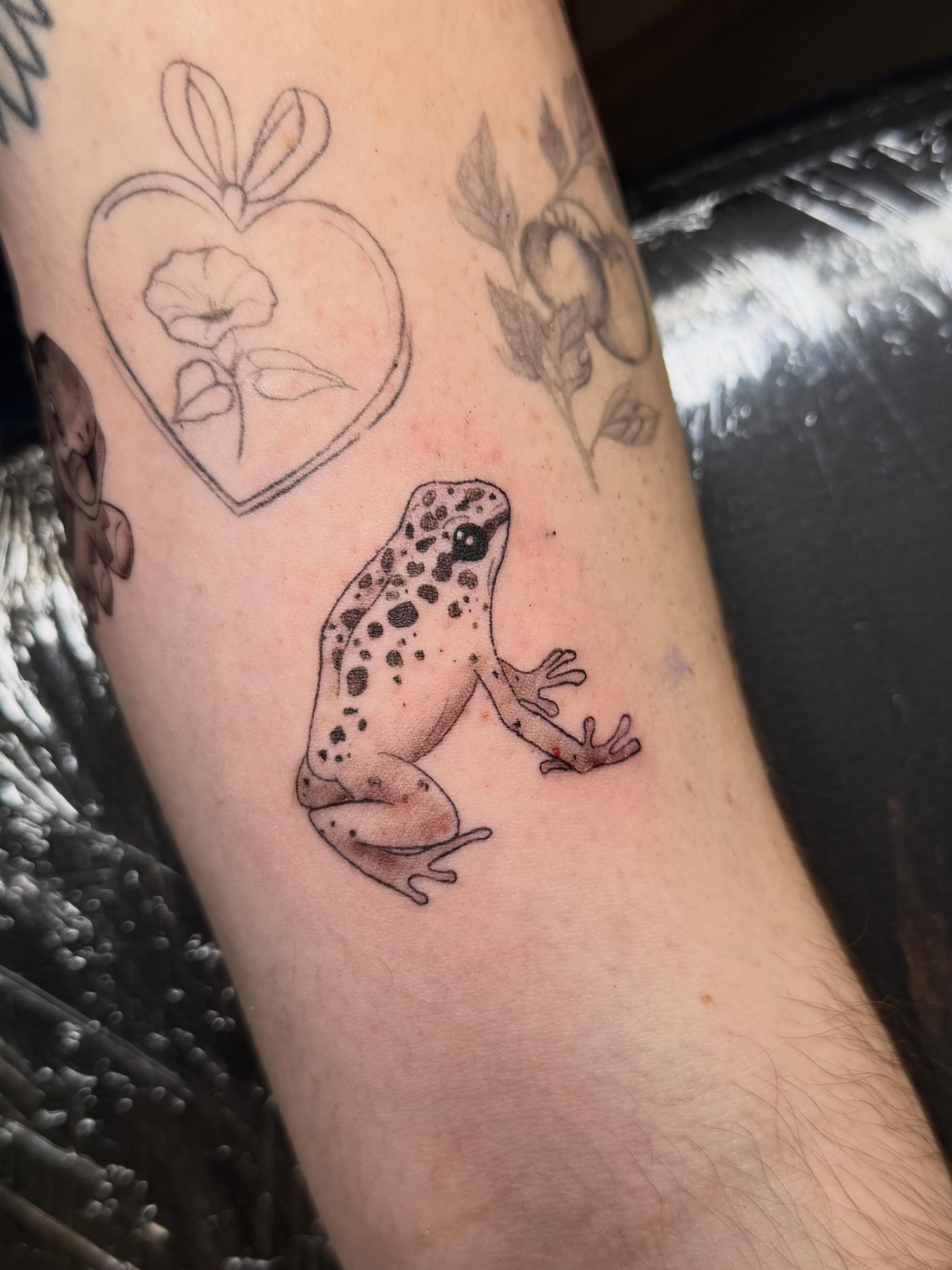 Frog dotwork tattoo on the forearm by βπ¬π―π’πΆ