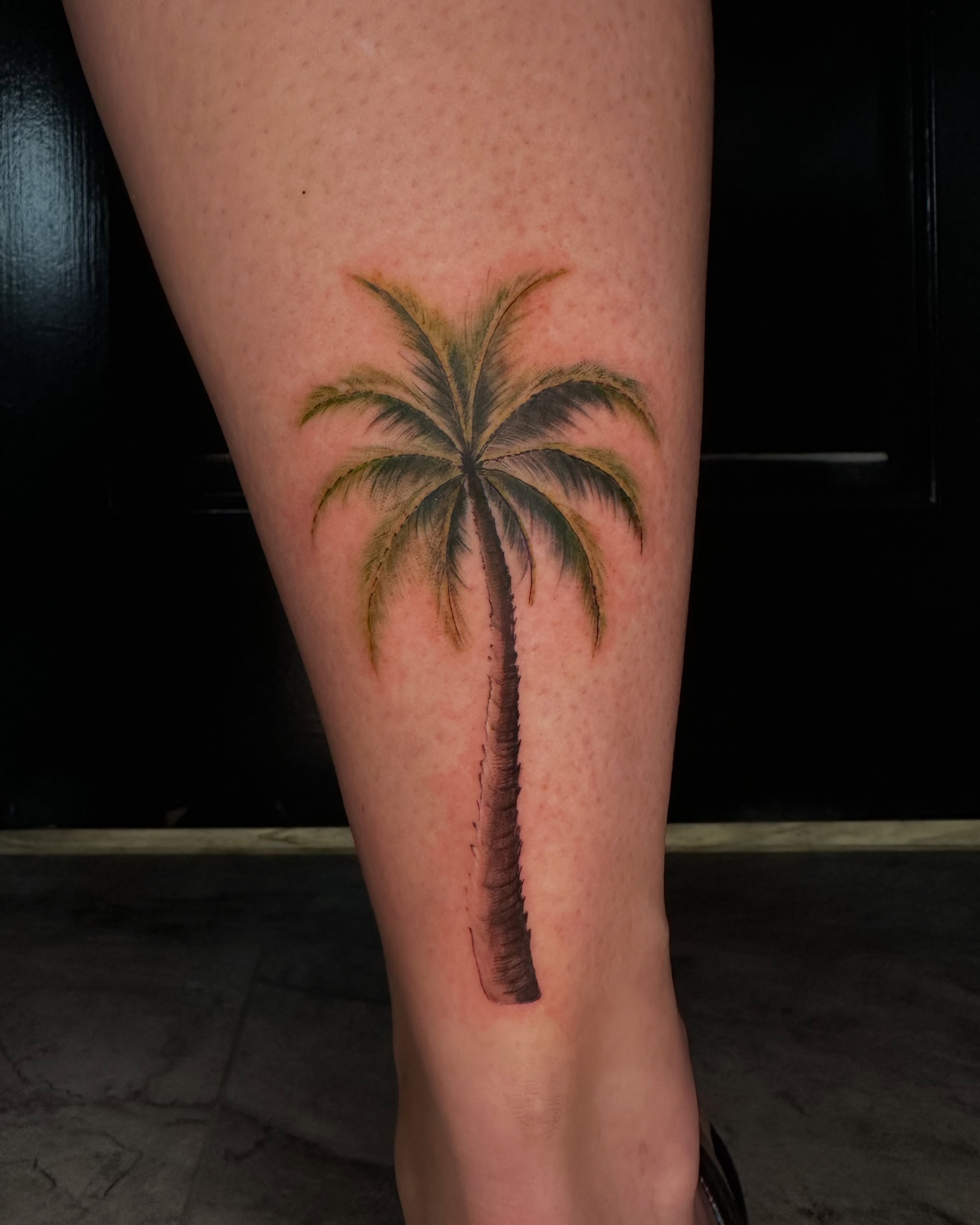 Palm tree realism tattoo on the leg by B A B y