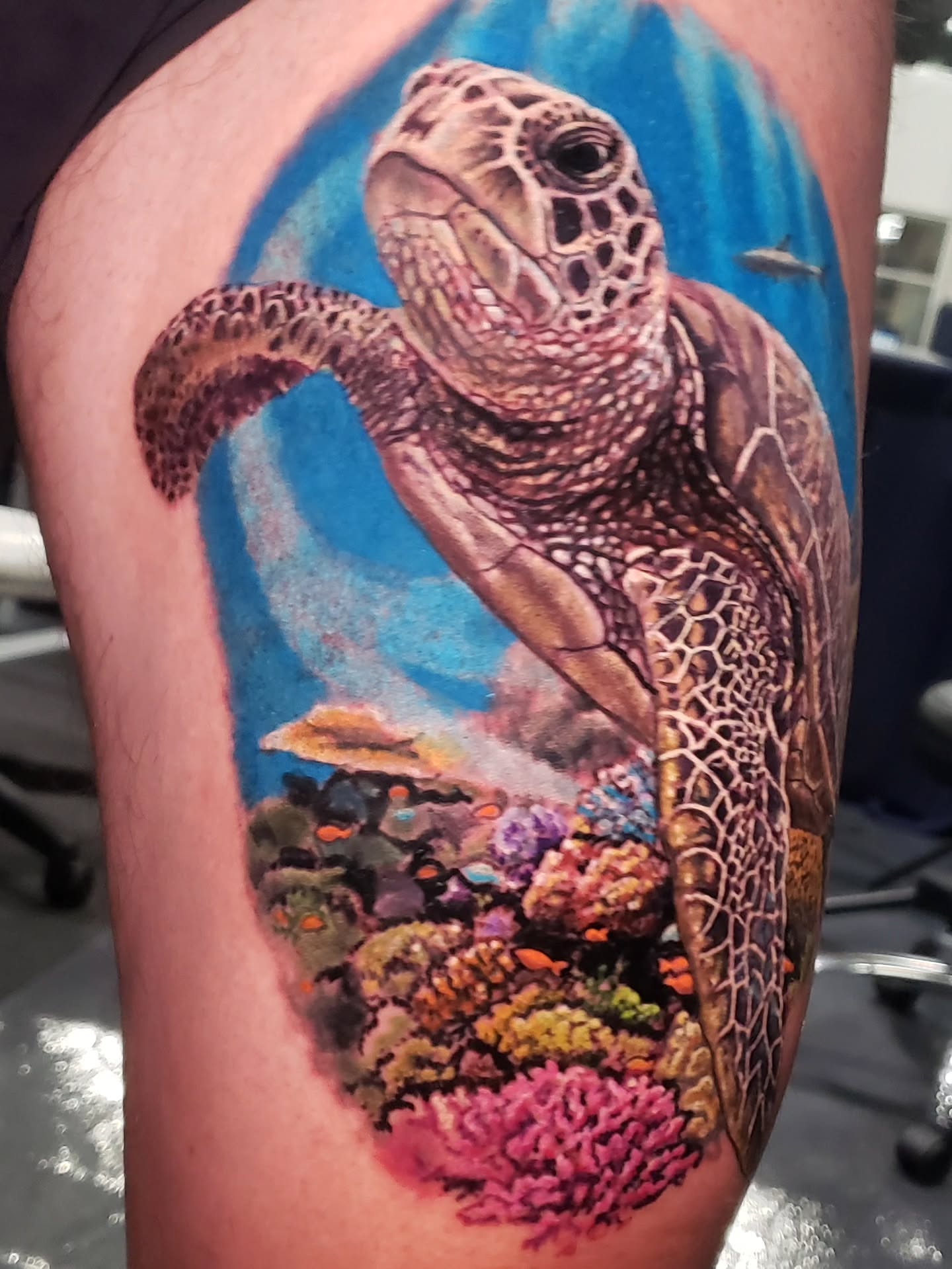 Sea turtle realism tattoo on the thigh by Bruce Riehl