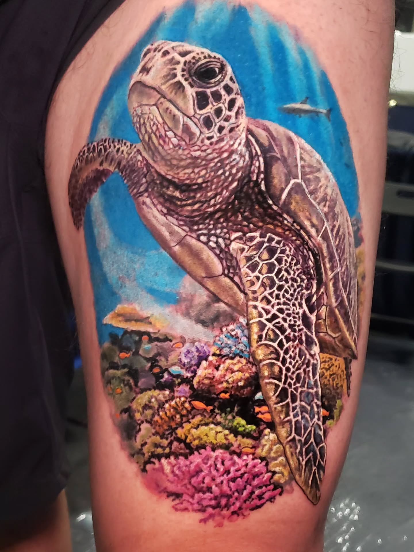 Sea turtle realism tattoo on the thigh by Bruce Riehl