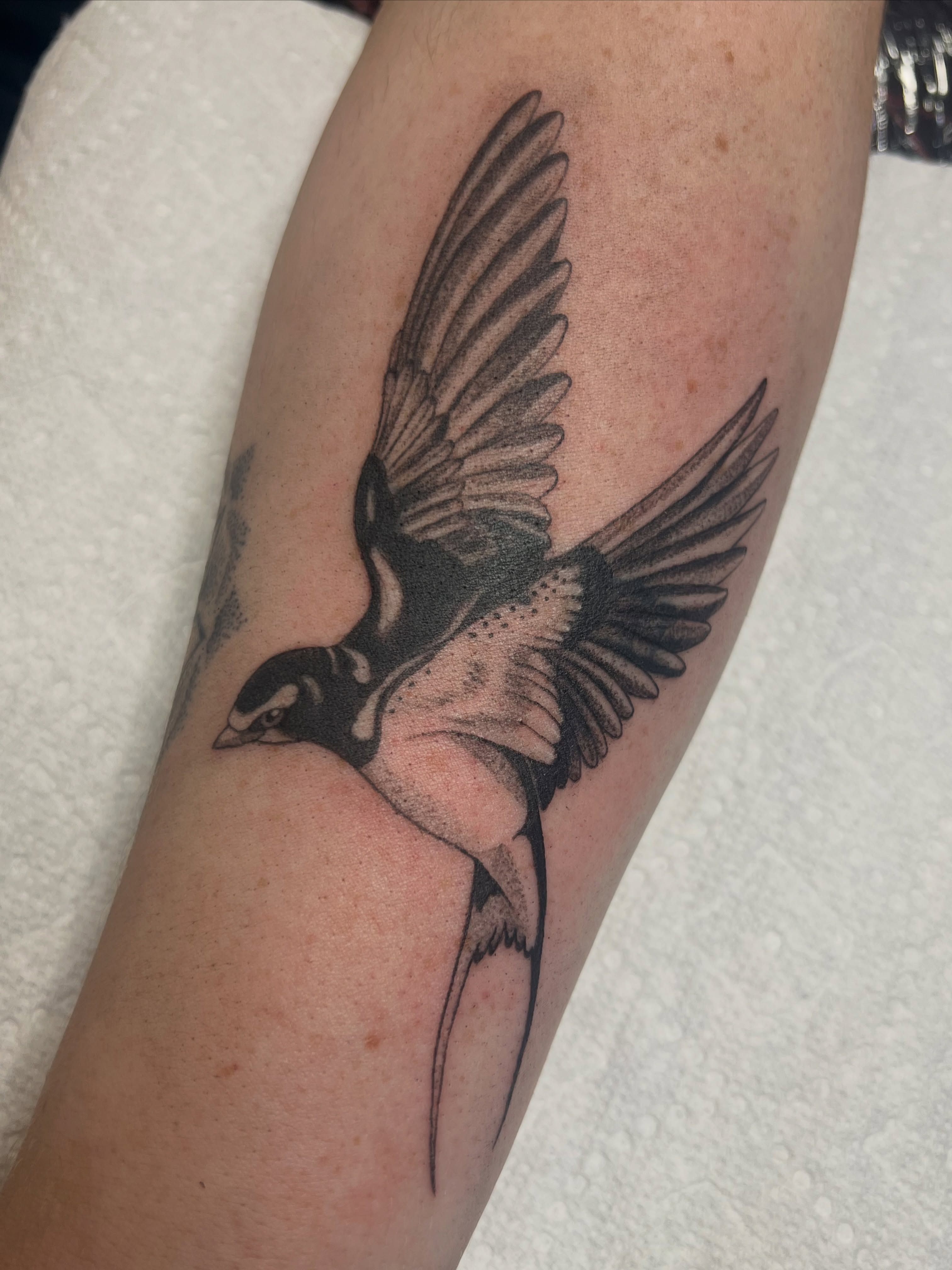 Tattoo by @hollytattoos__ — black_and_grey