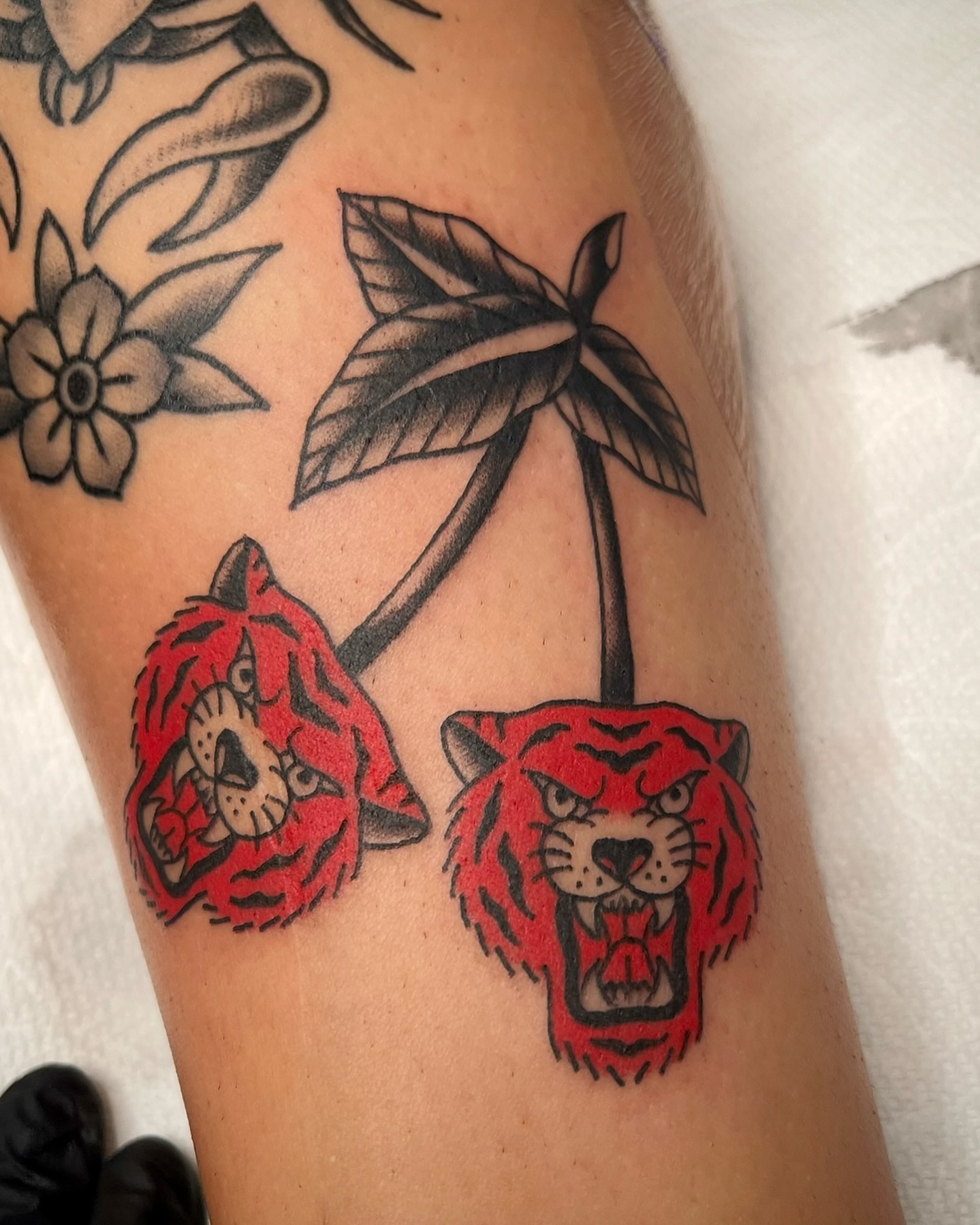 Tigers American traditional tattoo on the forearm by Tiffani Thompson, San Diego, California