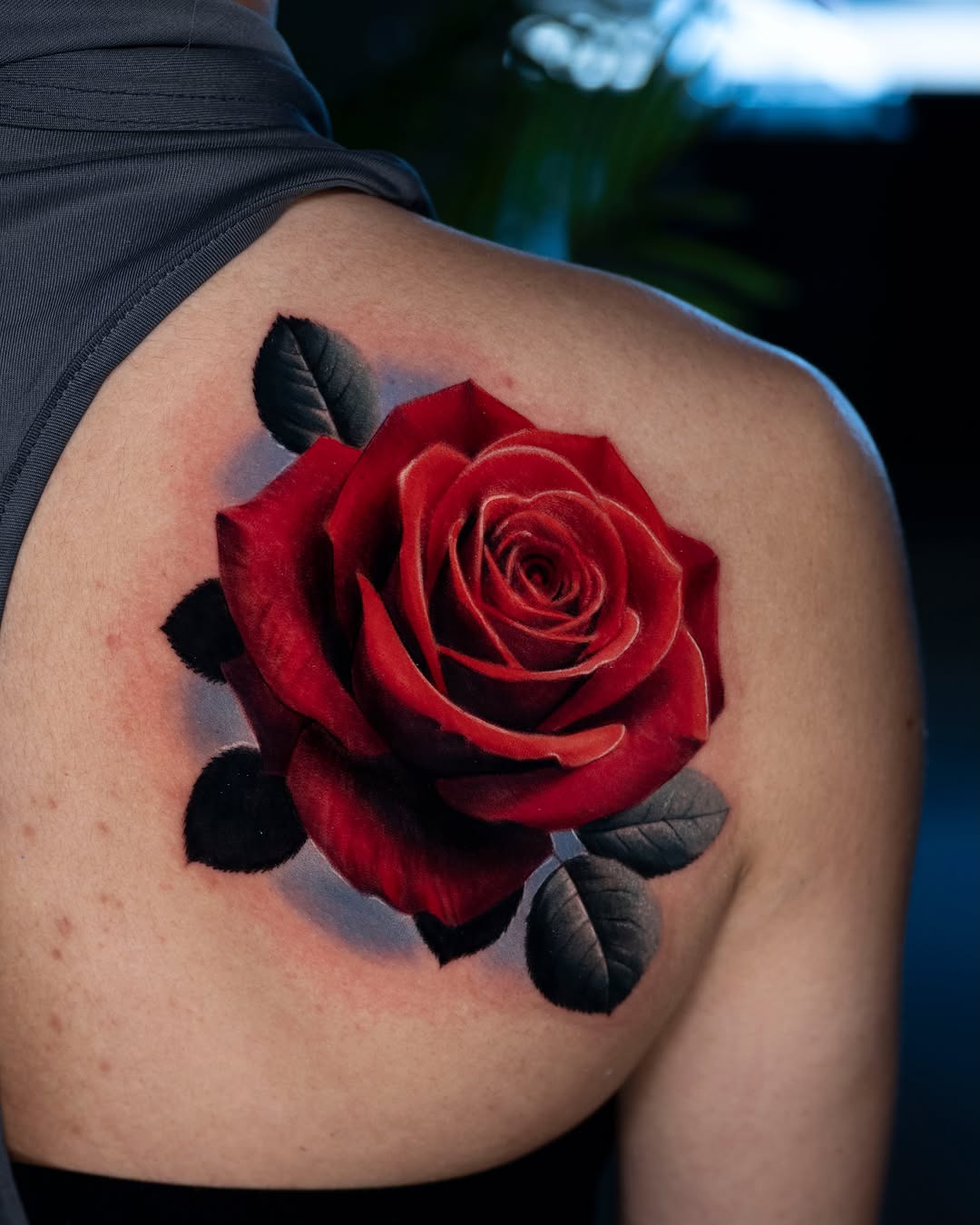 Red rose neo-traditional tattoo on the shoulder by Alex Moro