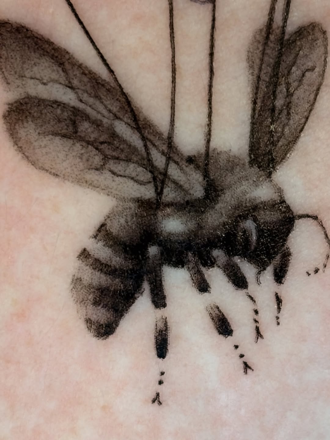 Tattoo by @danithedavinci — black_and_grey, realism