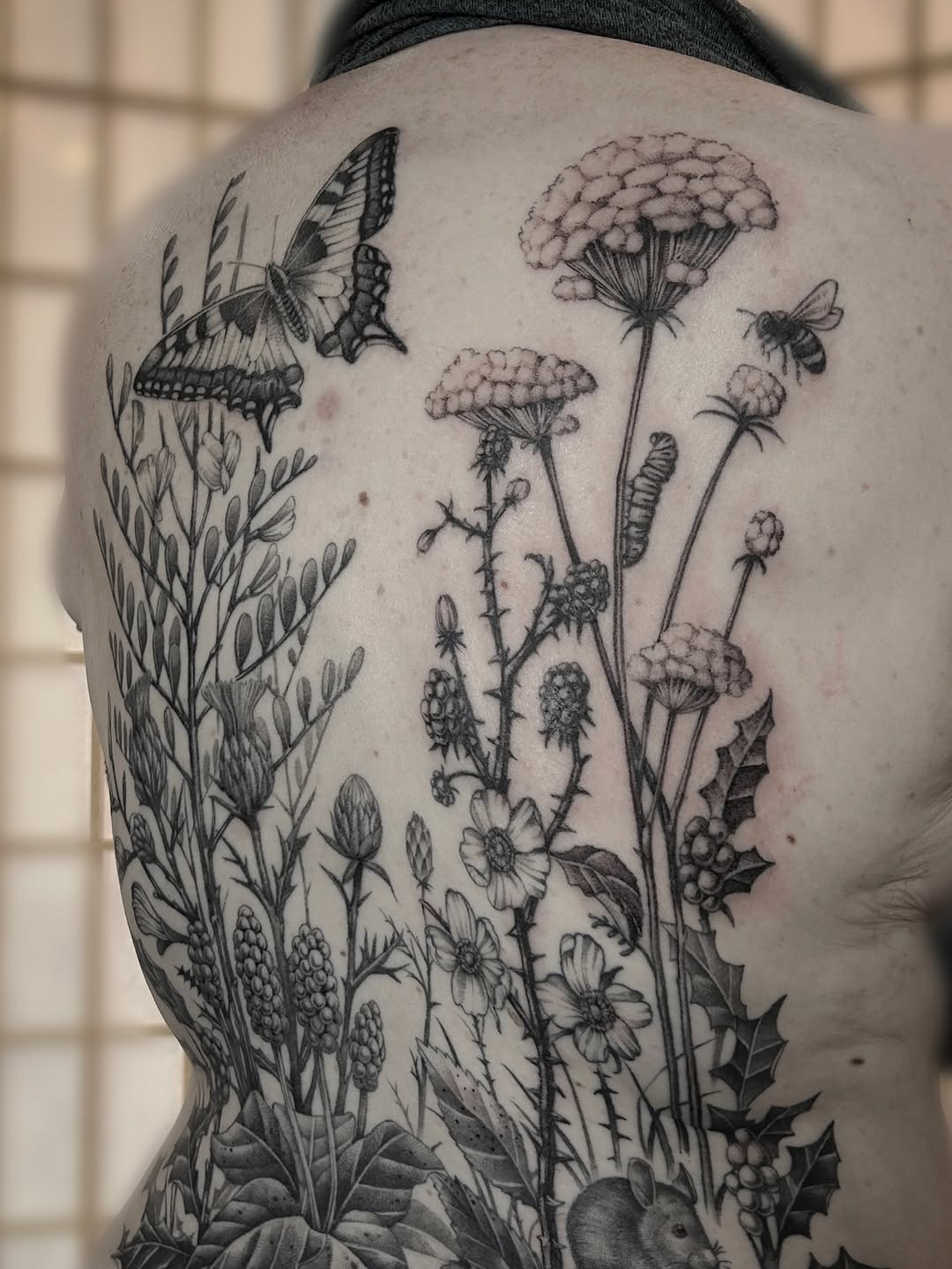 Botanical garden with butterfly and bee dotwork tattoo on the back by Tako, Seattle, Washington